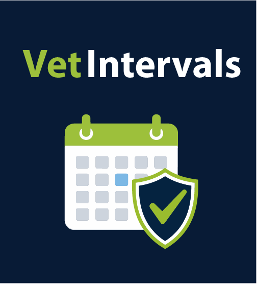 Vet Intervals: Taking the Guesswork Out of Equine Vaccination Dates