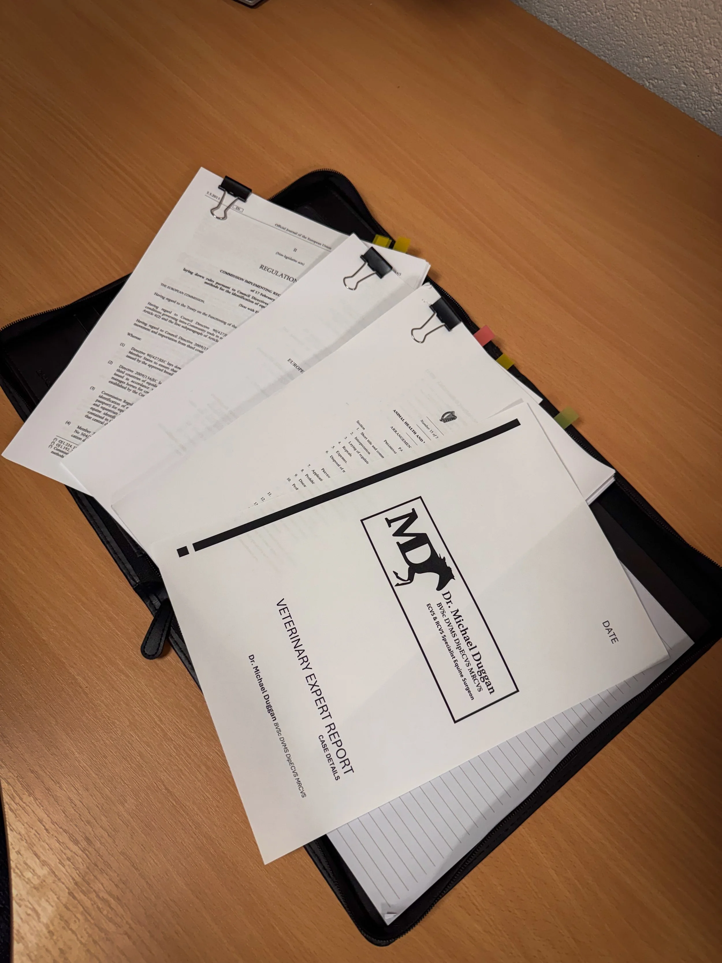 Expert Witness Documents