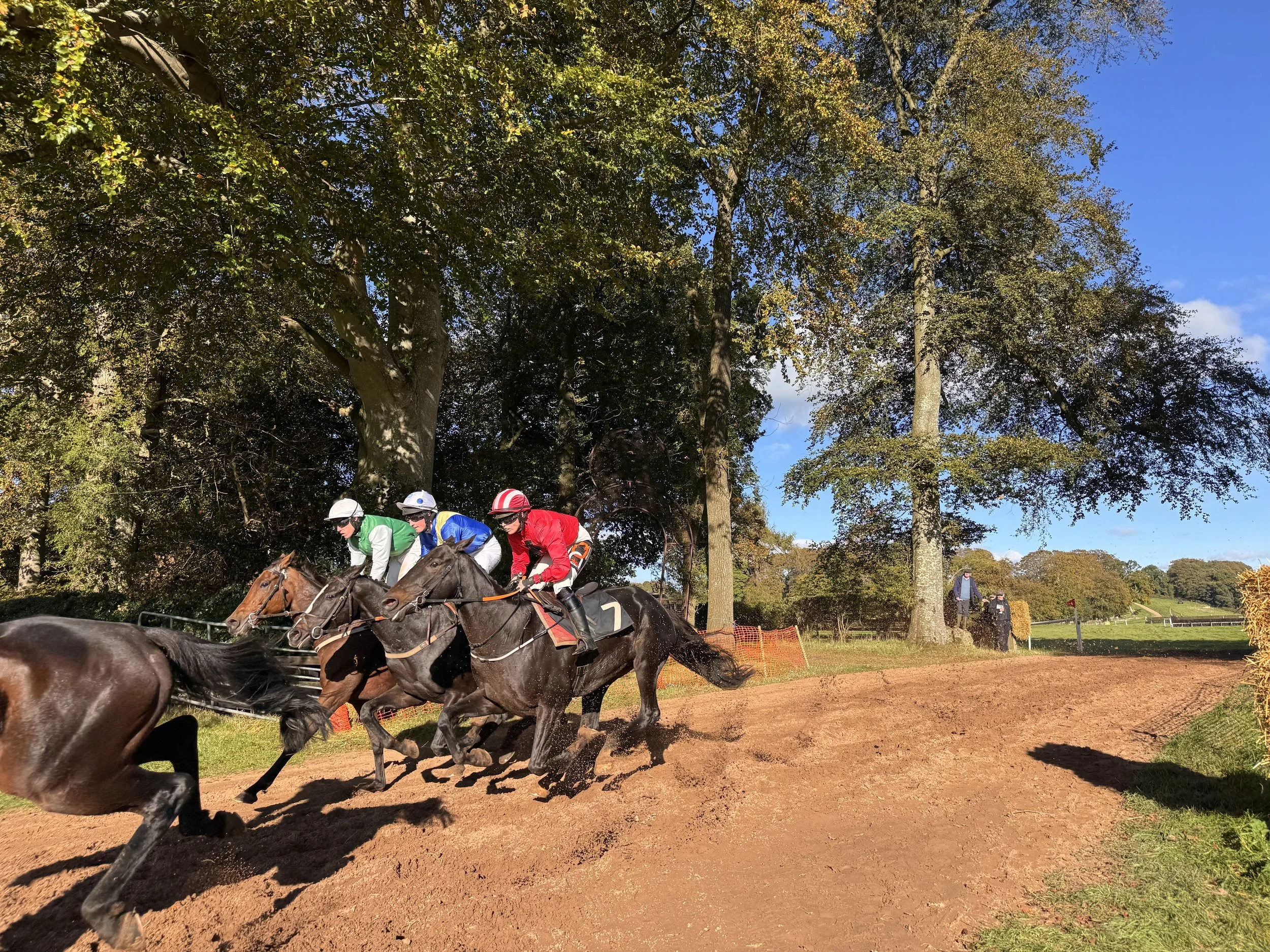 Horse Racing Equine Ireland
