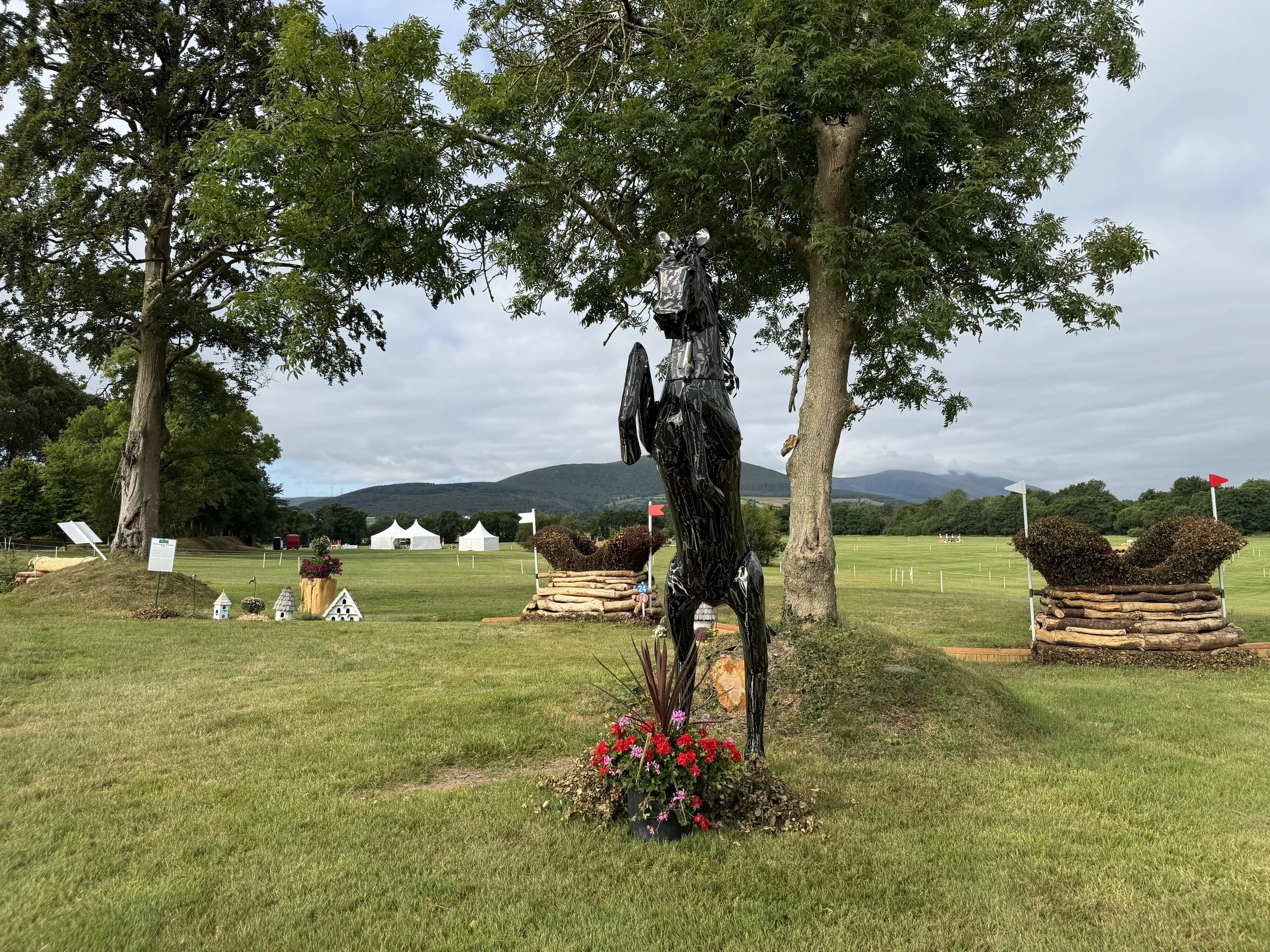 Equine Horse Eventing Competition Metal