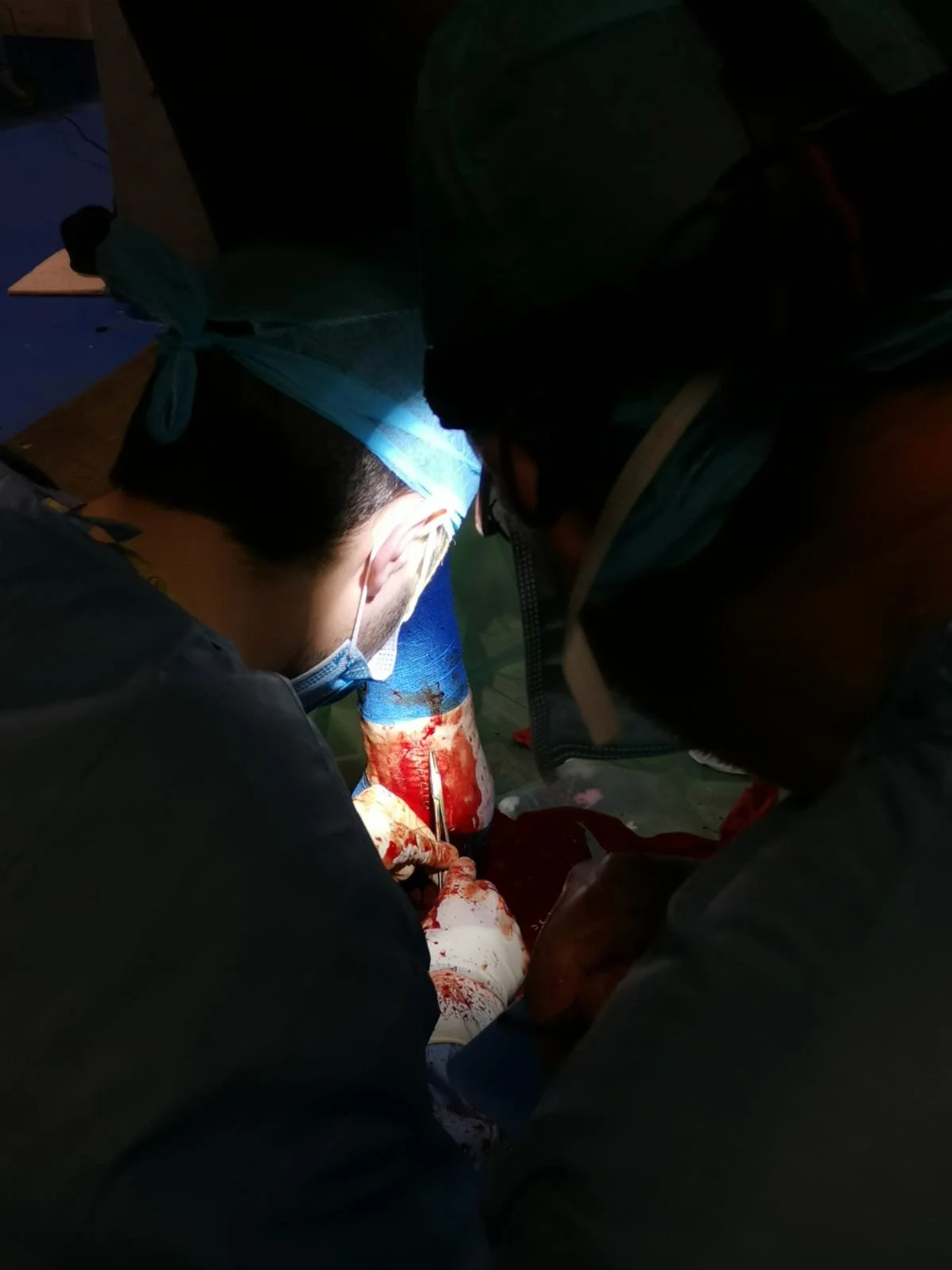 Specialist Equine Surgeon