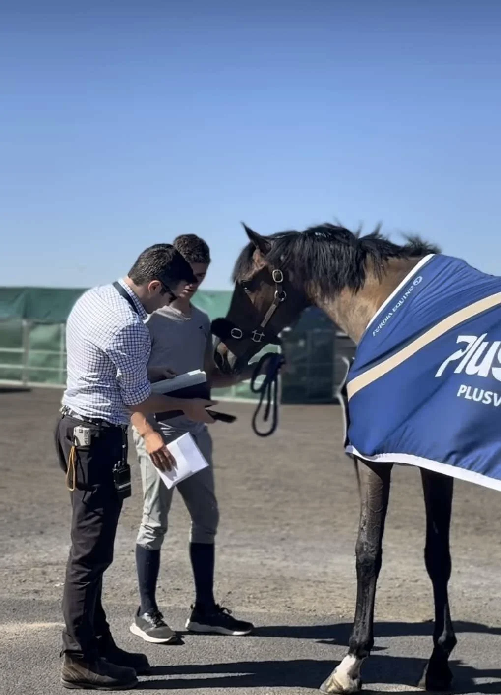 FEI Veterinary Services Manager Microchip & Passport Check Examination on Arrival