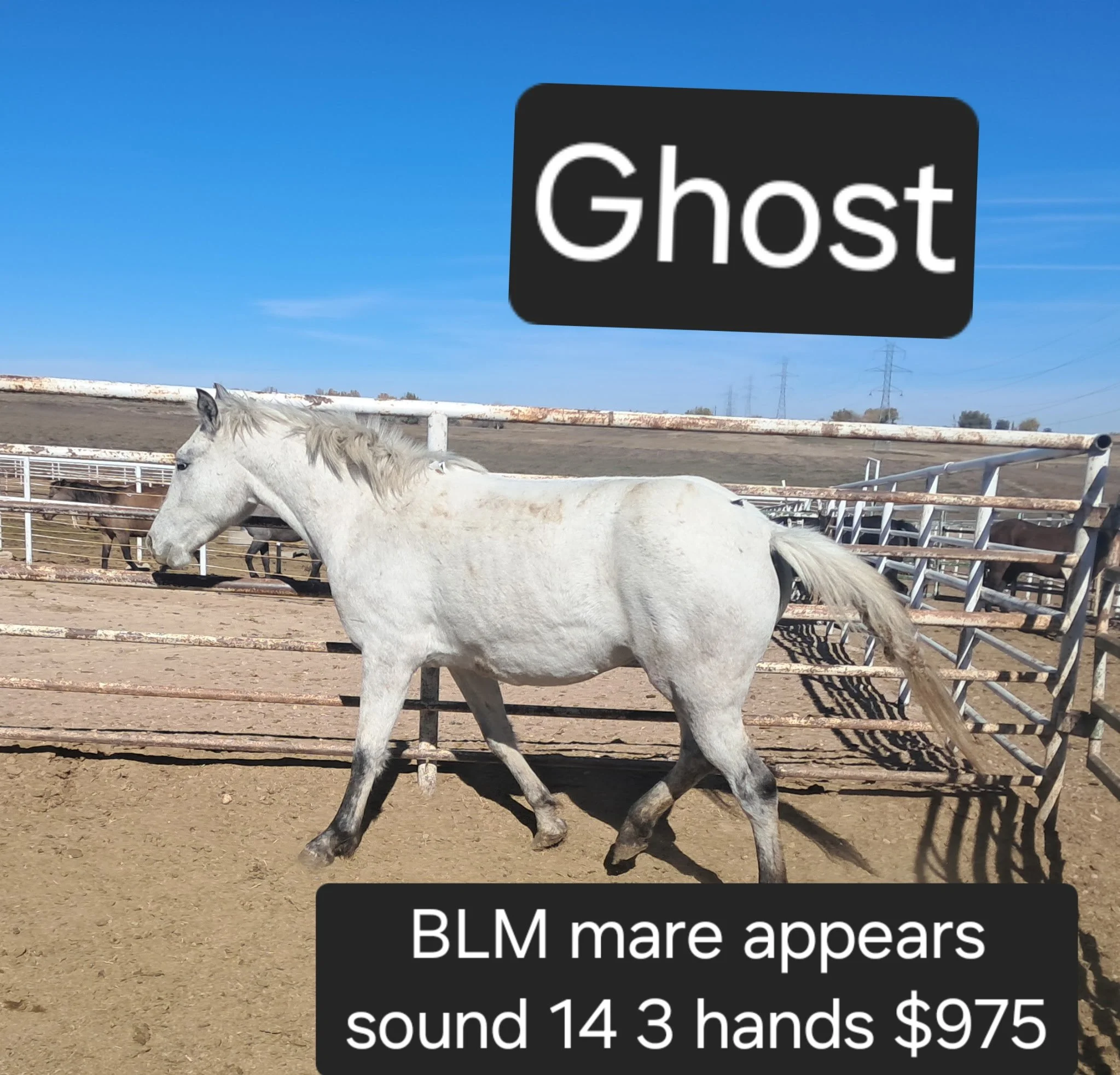 5270569906584046758.JPG
