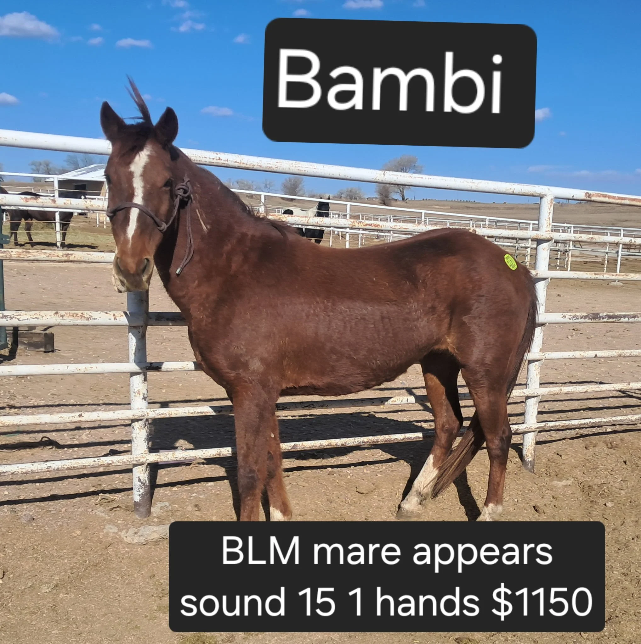 20260326_093210(1).JPG