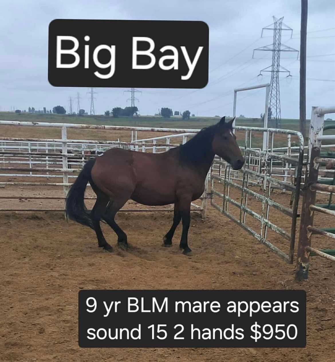 f18e9171140cebeaaeb7bcdd420543e2.JPEG