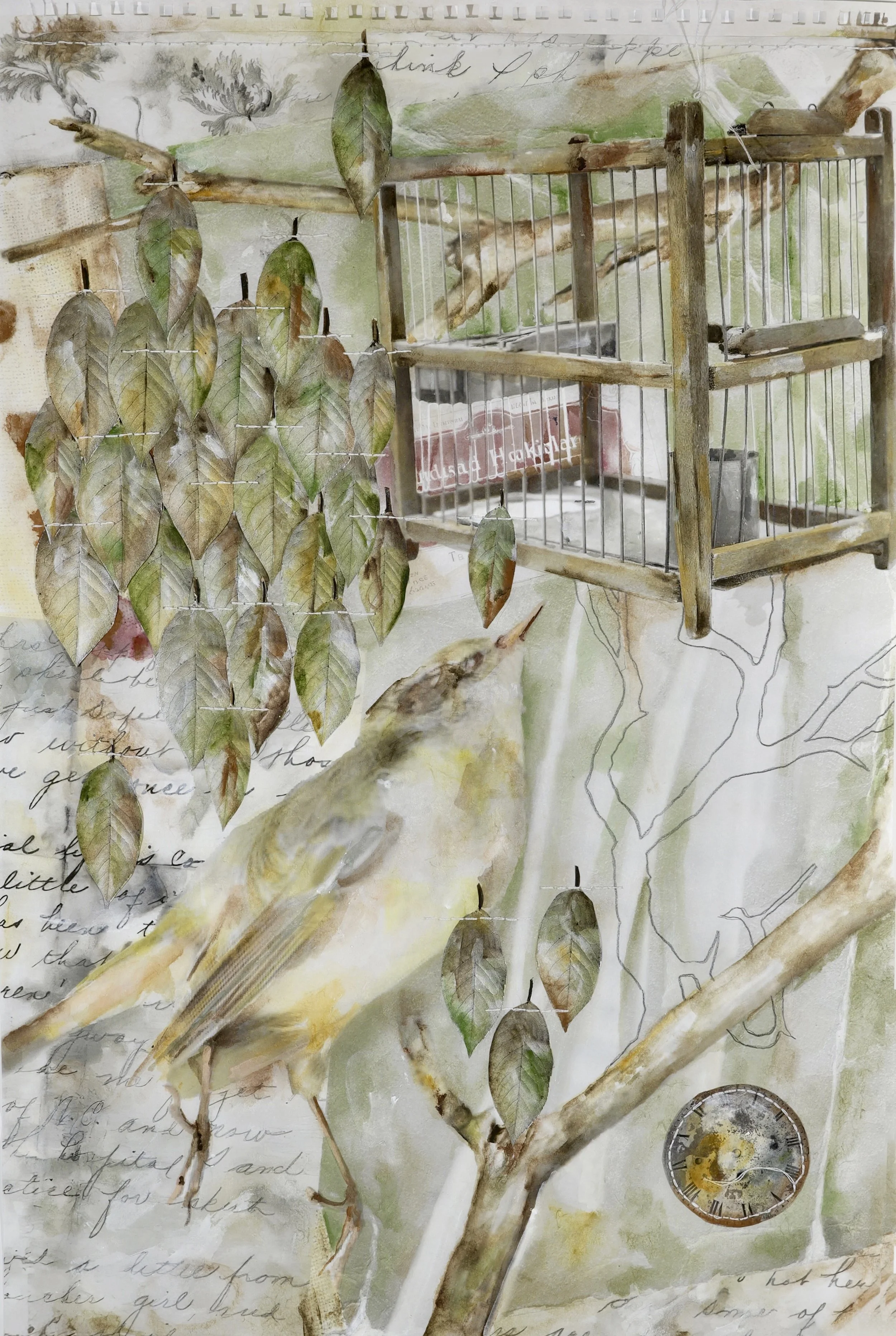 Sleeping Bird 