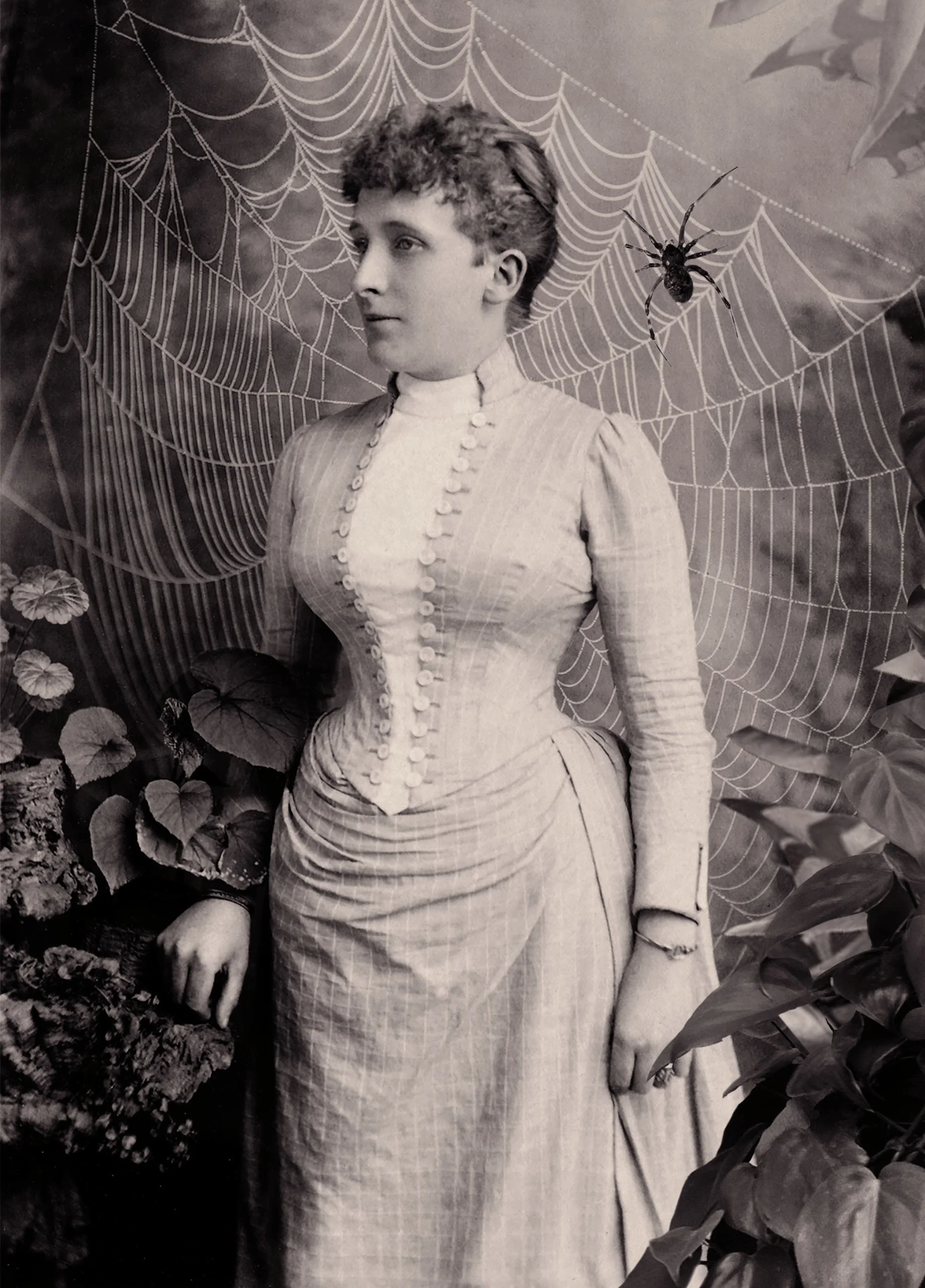 Arachnophobia - Fear of Spiders