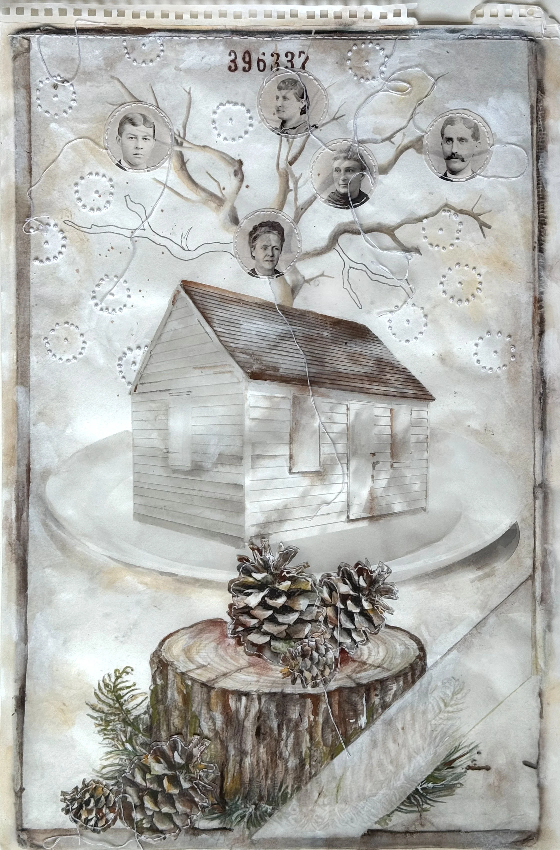 The Memory of Trees 