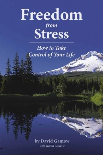 Freedom from Stress ebook
