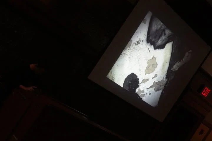 Projection of a black and white image of a dog on a screen in a dark room.
