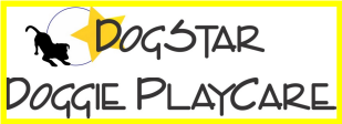 Dogstar Doggie Playcare
