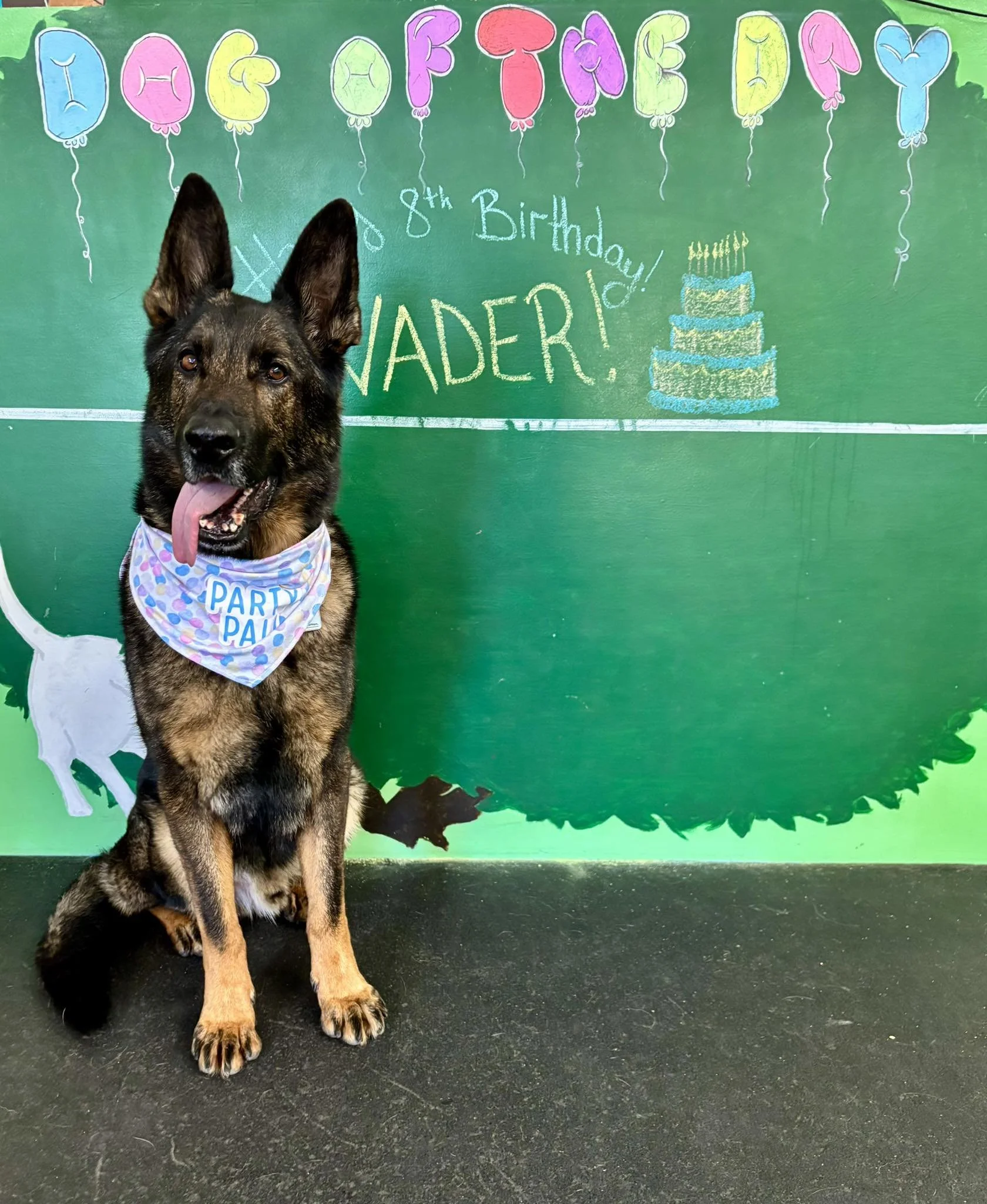 A German Shepherd puppy with a colorful birthday bandana around its neck sitting in front of a decorated chalkboard. The chalkboard has a green background with birthday-themed drawings, including a layered cake with candles, and colorful balloons spelling out "HAPPY BIRTHDAY!" and the message "8th Birthday!"