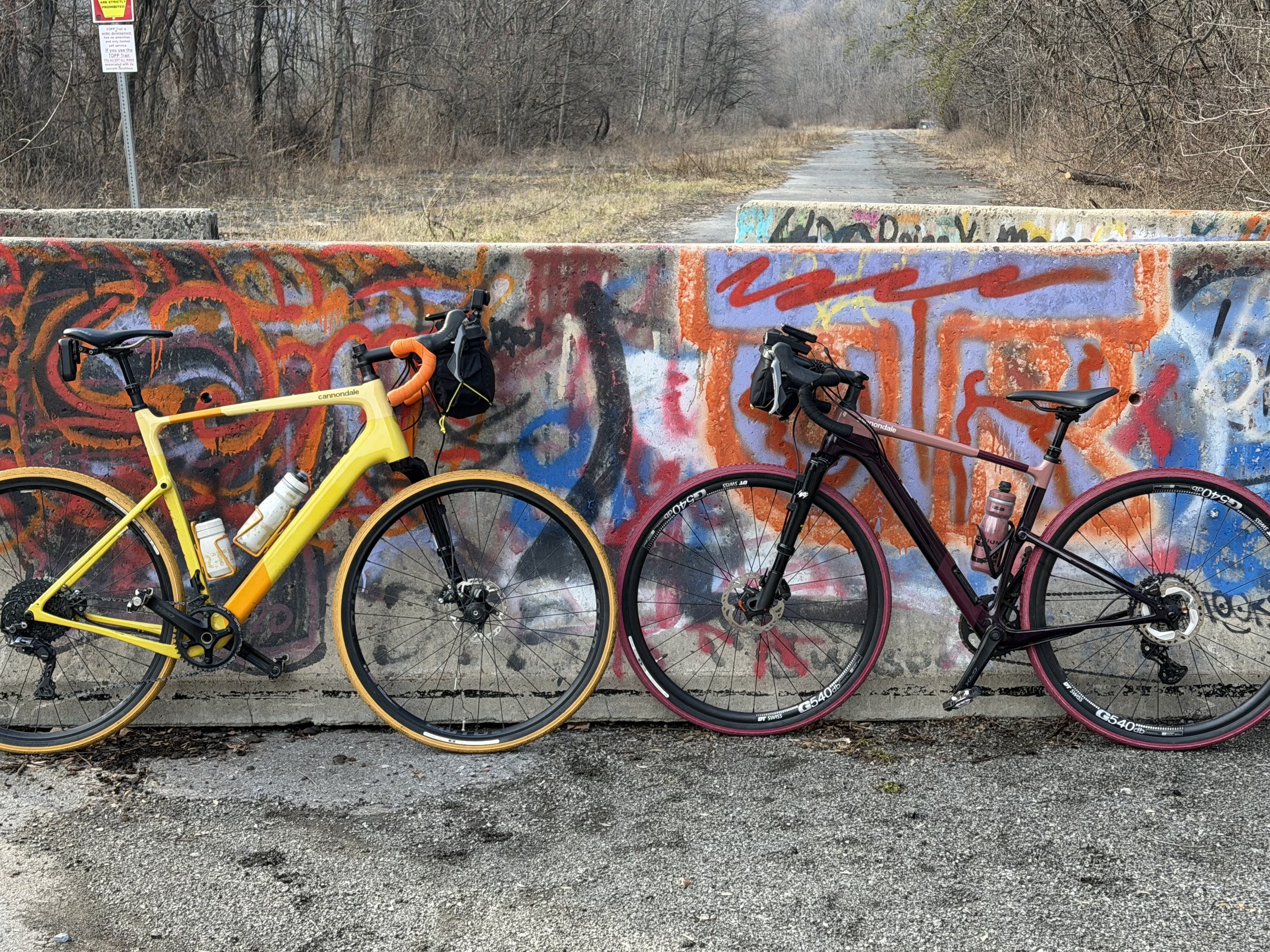Two bicycles leaning against a graffiti-covered concrete barrier on an abandoned, graffiti-covered roadway, with leafless trees in the background.