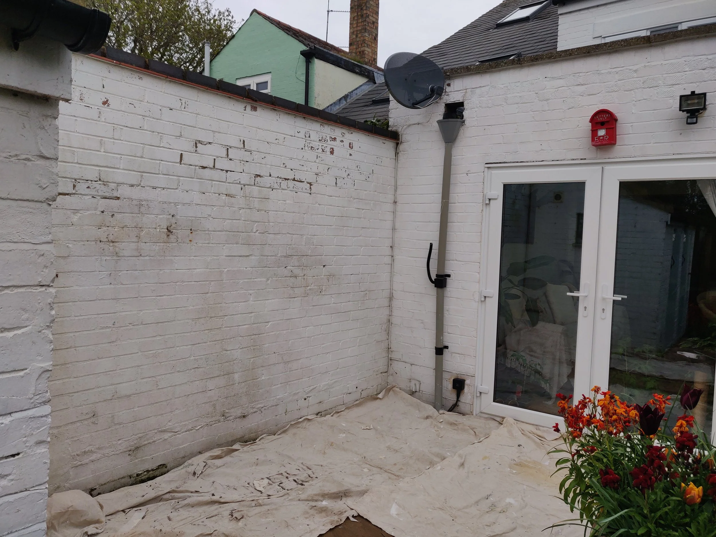 Backyard patio with white brick wall, a glass door, and a red letterbox. Garden plants with orange and red flowers are in the foreground, and a satellite dish and outdoor light are mounted on the wall.