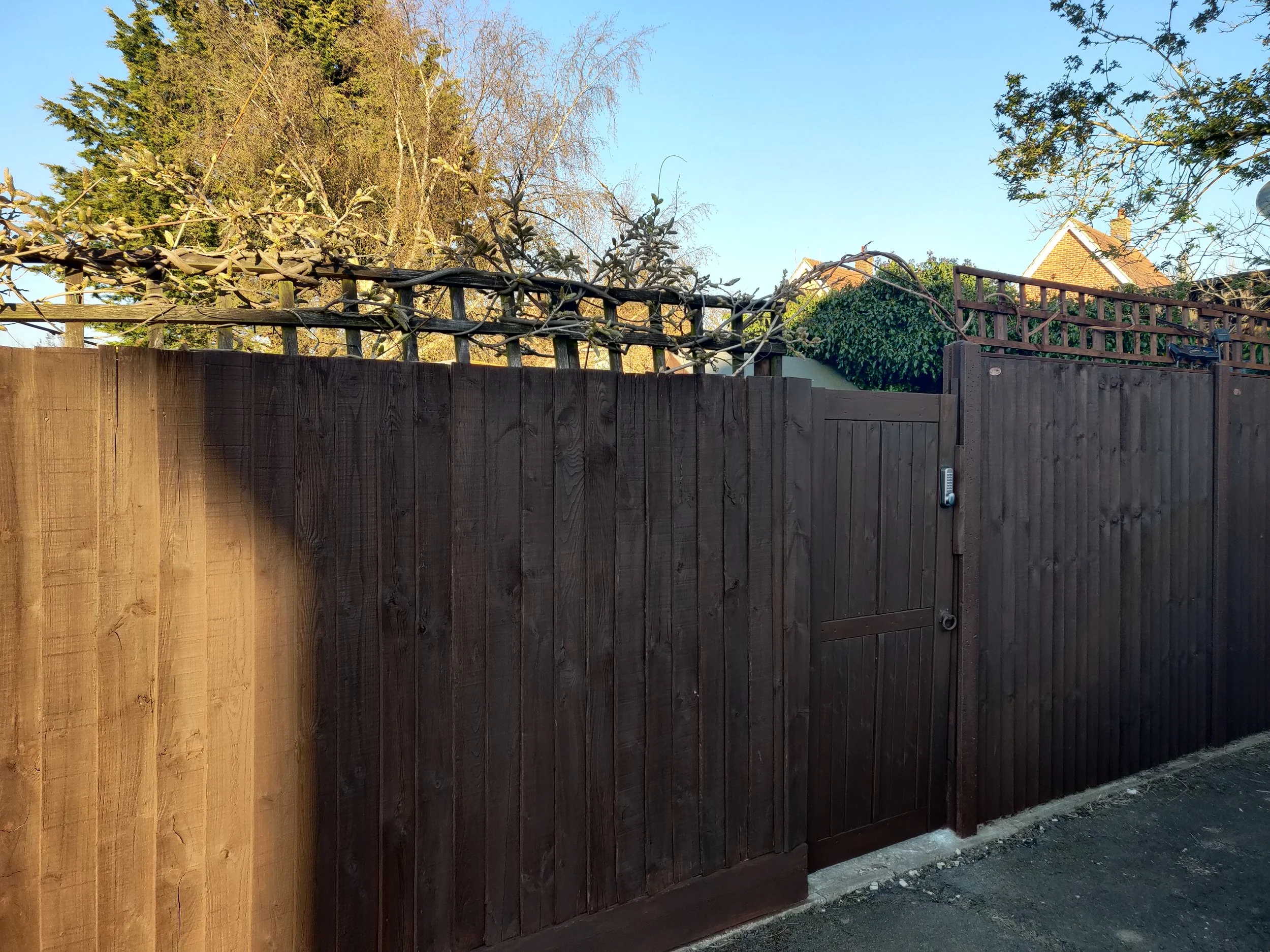 a dark wooden fence with a lattice top and a latch door in front of trees with some leaves and branches, with a clear blue sky above