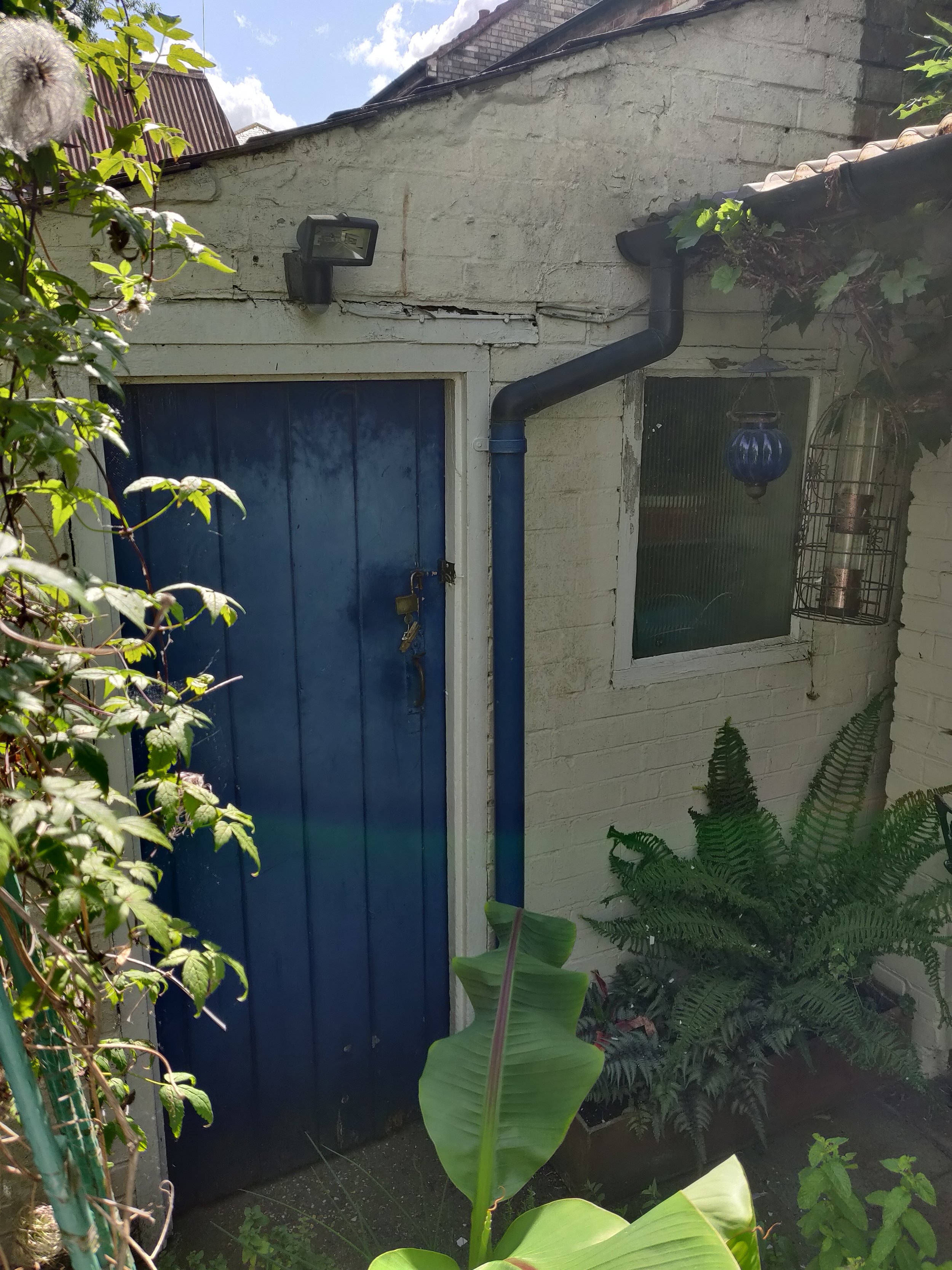 A white brick wall with a blue door, a small window with wire mesh, a black pipe running along the wall, a security light above the door, a hanging lantern, and lush green plants and ferns in the garden.