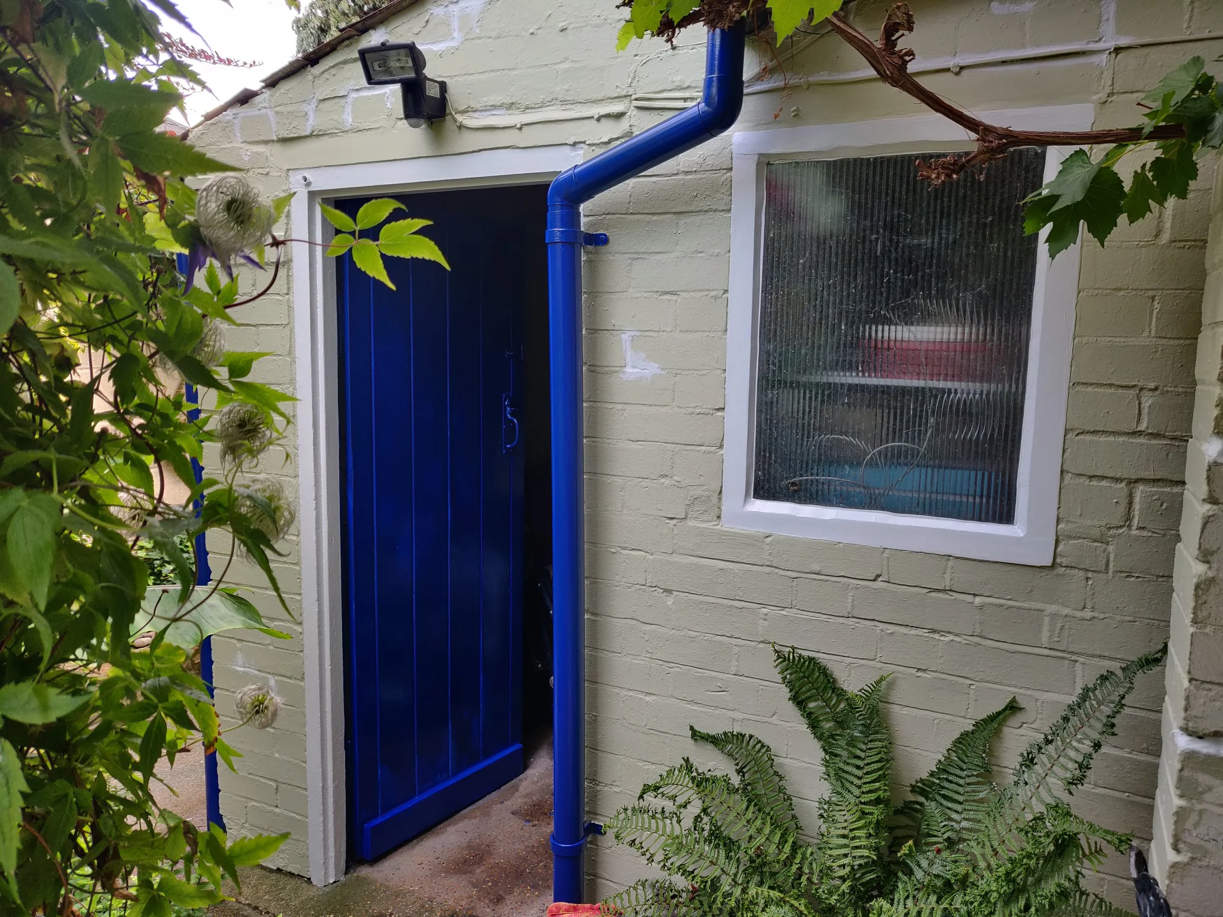 A blue door with a small black mailbox above it, set in a cream brick wall. Green ivy and fern plants surround the door and wall.