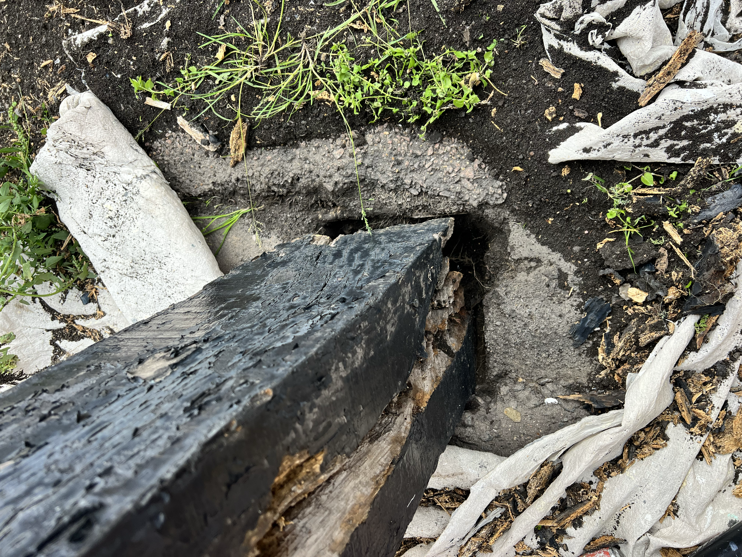 Close-up of the ground with dark soil, small green plants, a piece of white fabric, charred wood, and pieces of bark and debris.