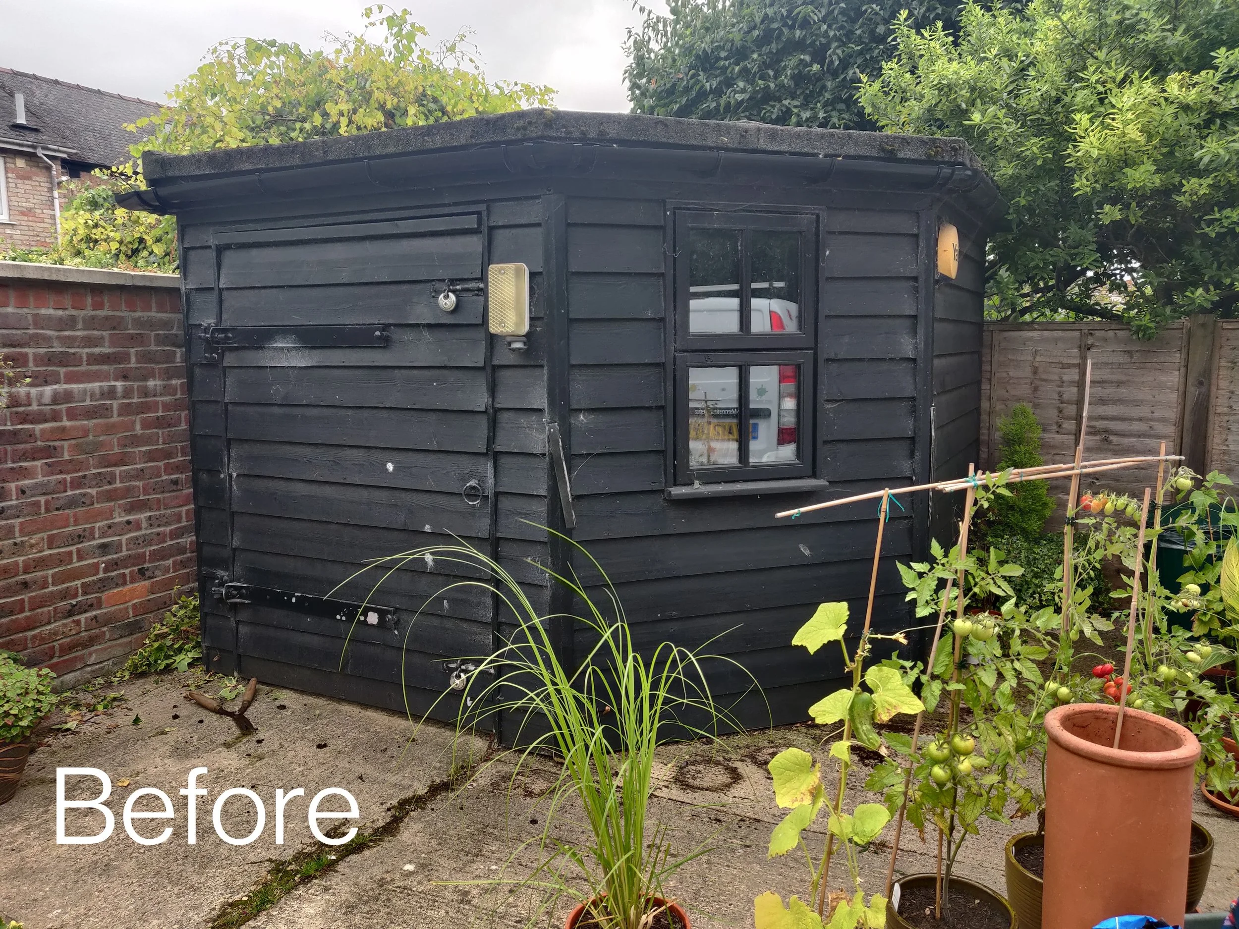 A small black wooden garden shed with a window and a lock on the door, situated beside a brick wall and surrounded by various green plants and trees. The image has a 