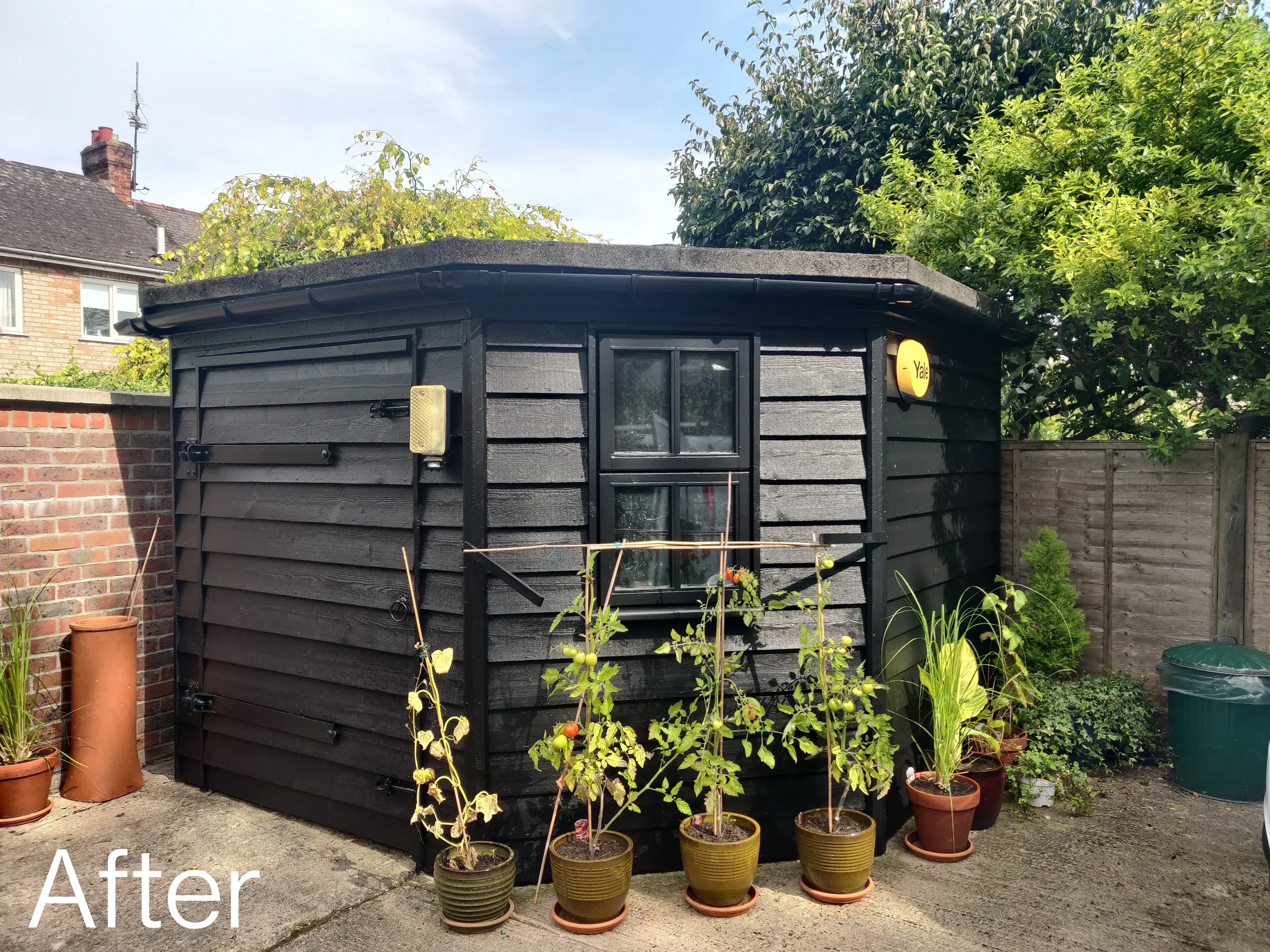 A small black wooden garden shed with a sloped roof and a single window, surrounded by potted plants and vegetable seedlings, with a brick wall and trees in the background.