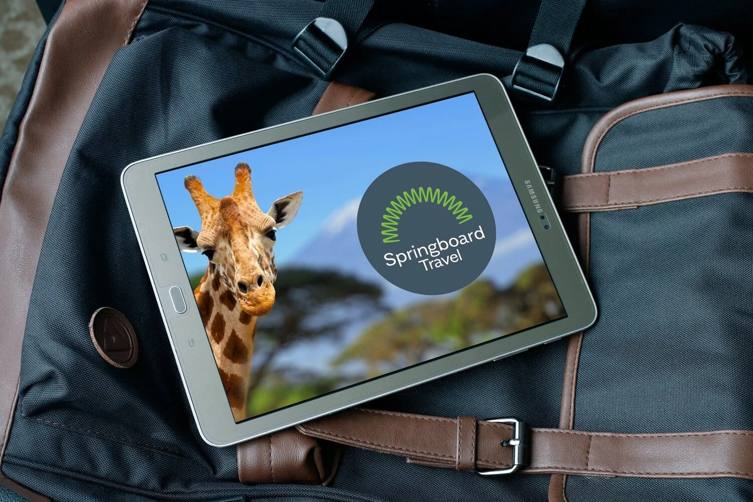 Springboard Travel | New Canaan, CT