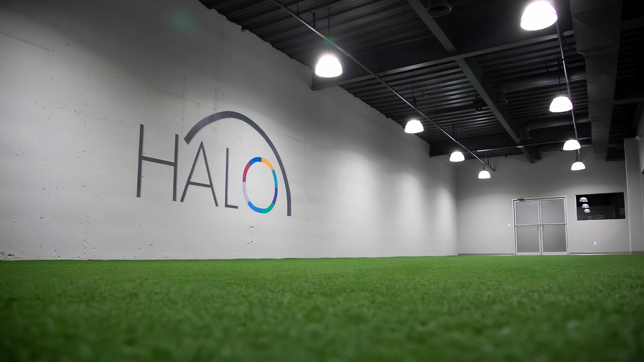 Halo-turf.png