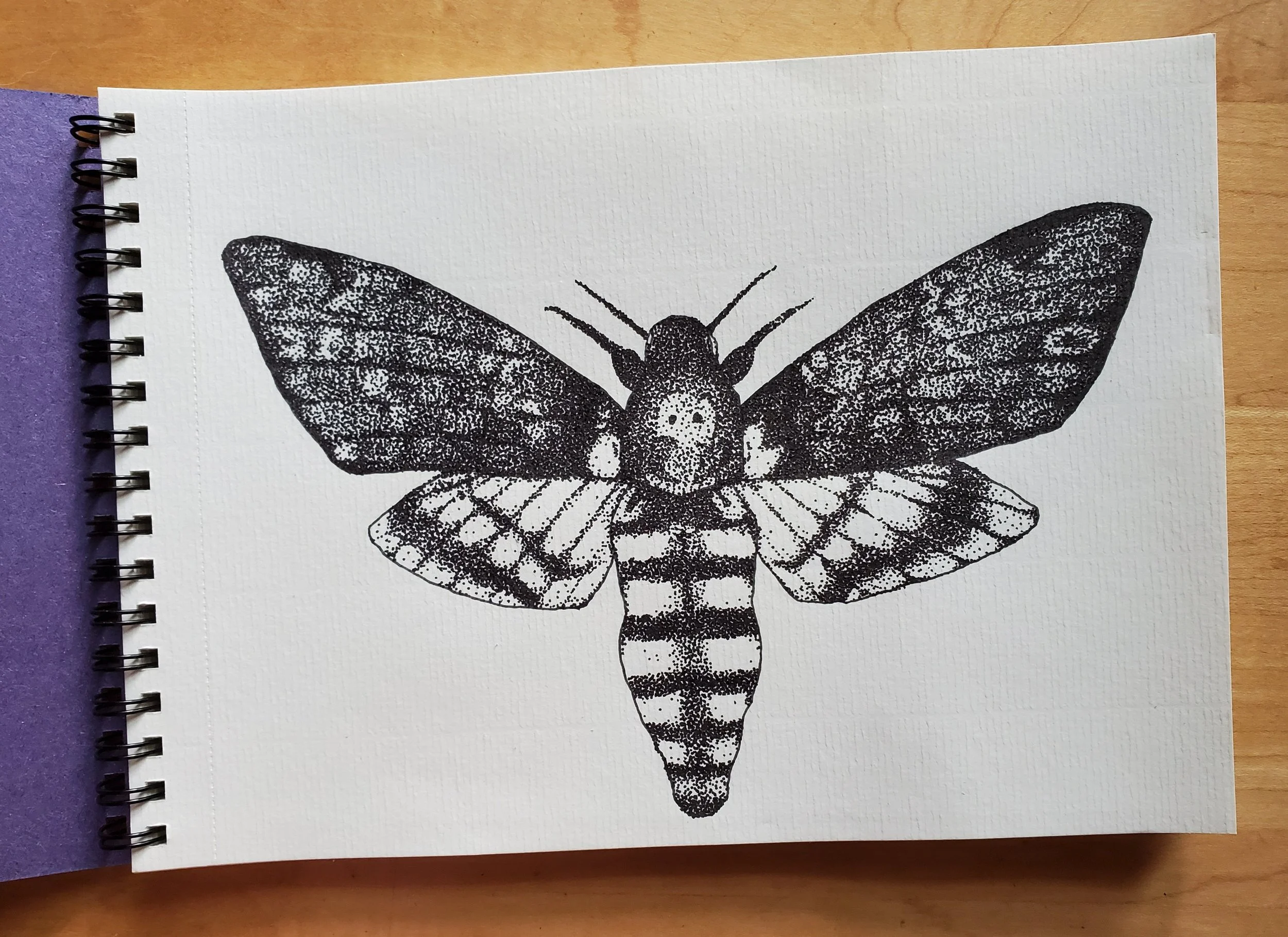 Deathmoth, 2021