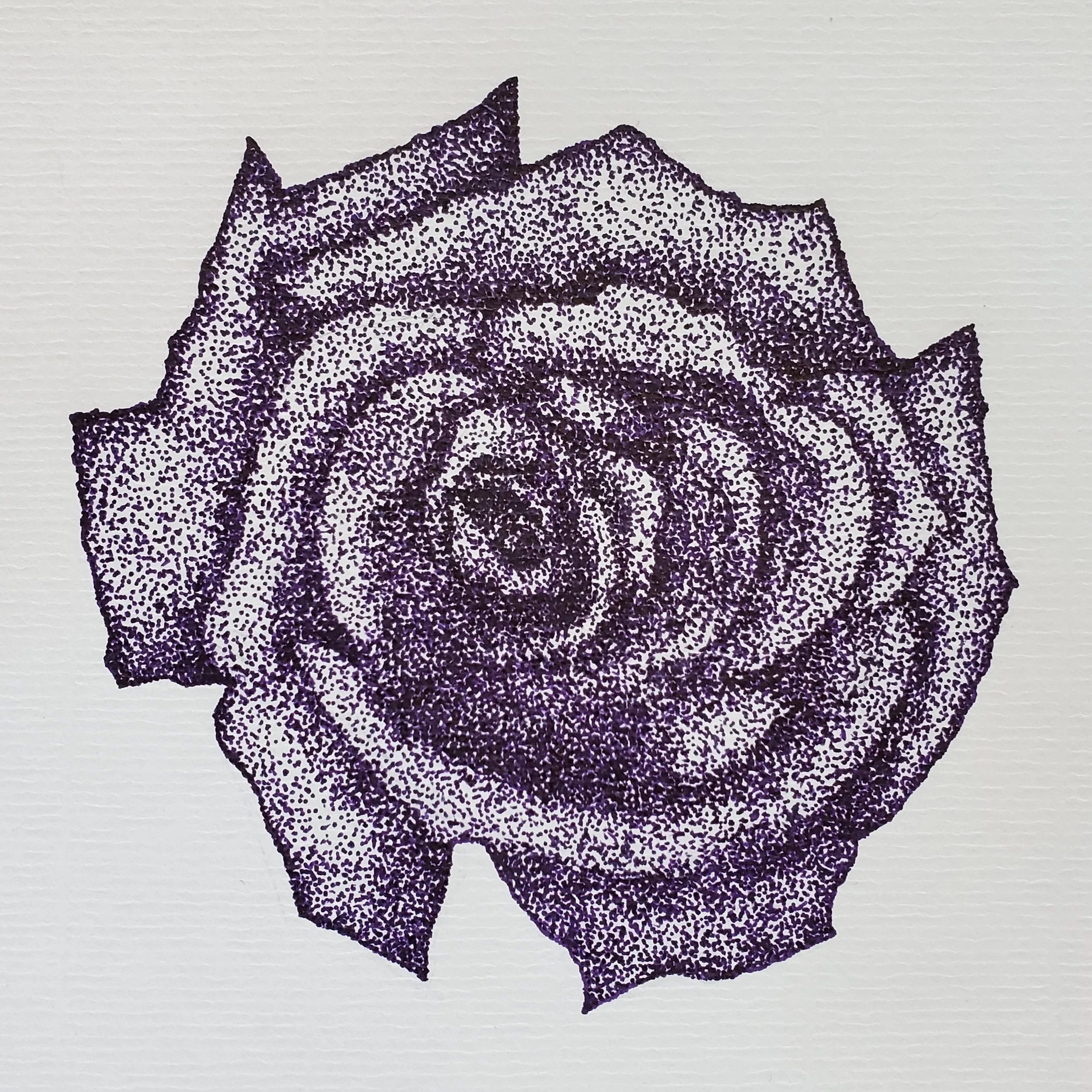 Purple Rose, 2021