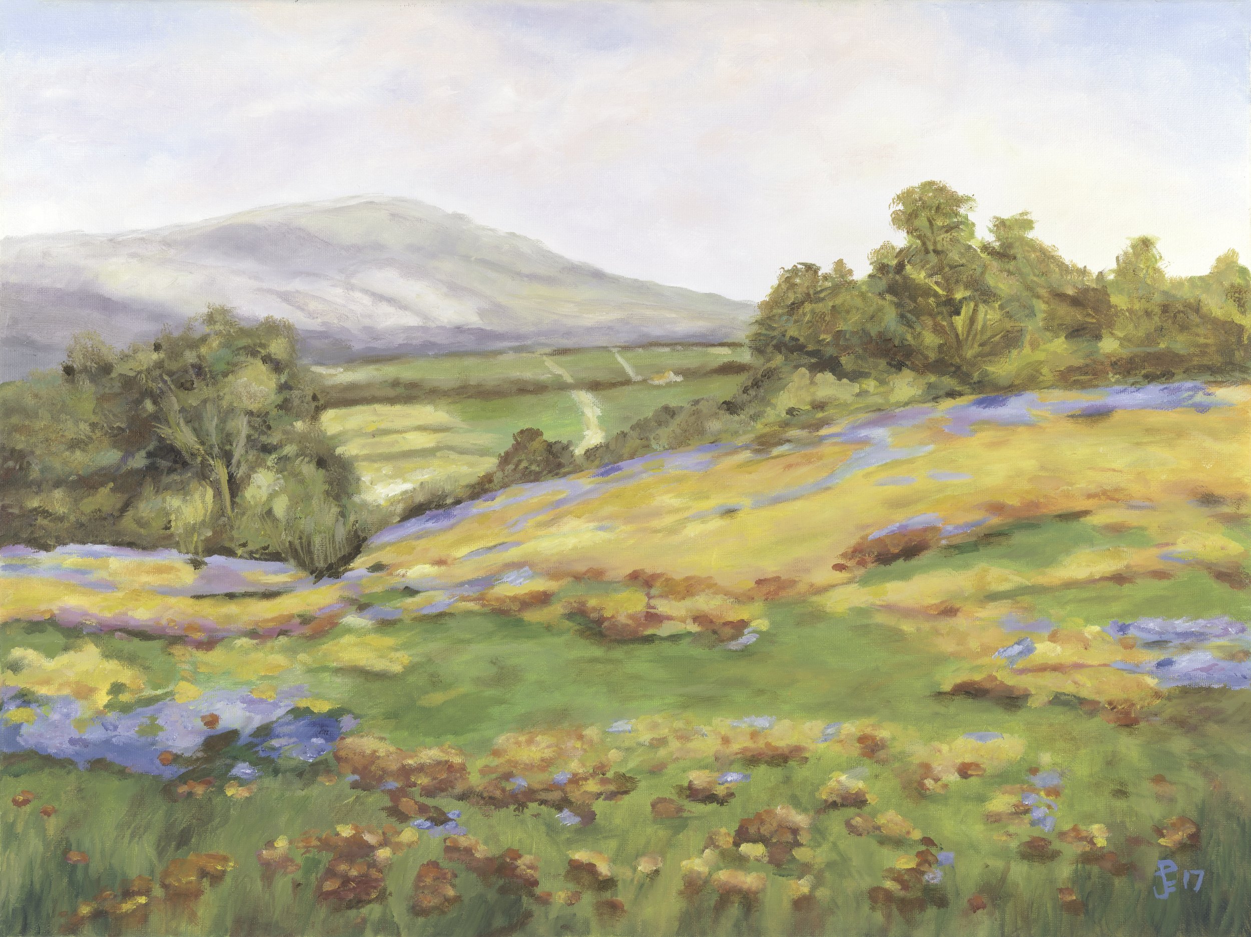 Rolling Meadow