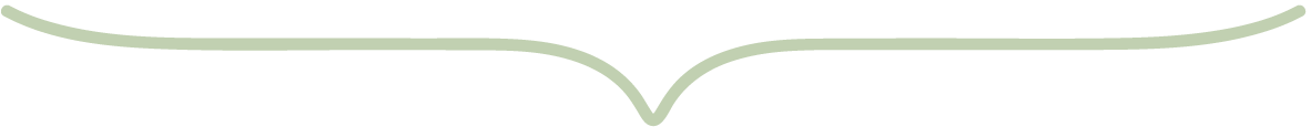A light-colored, curved, decorative border with a symmetrical design.
