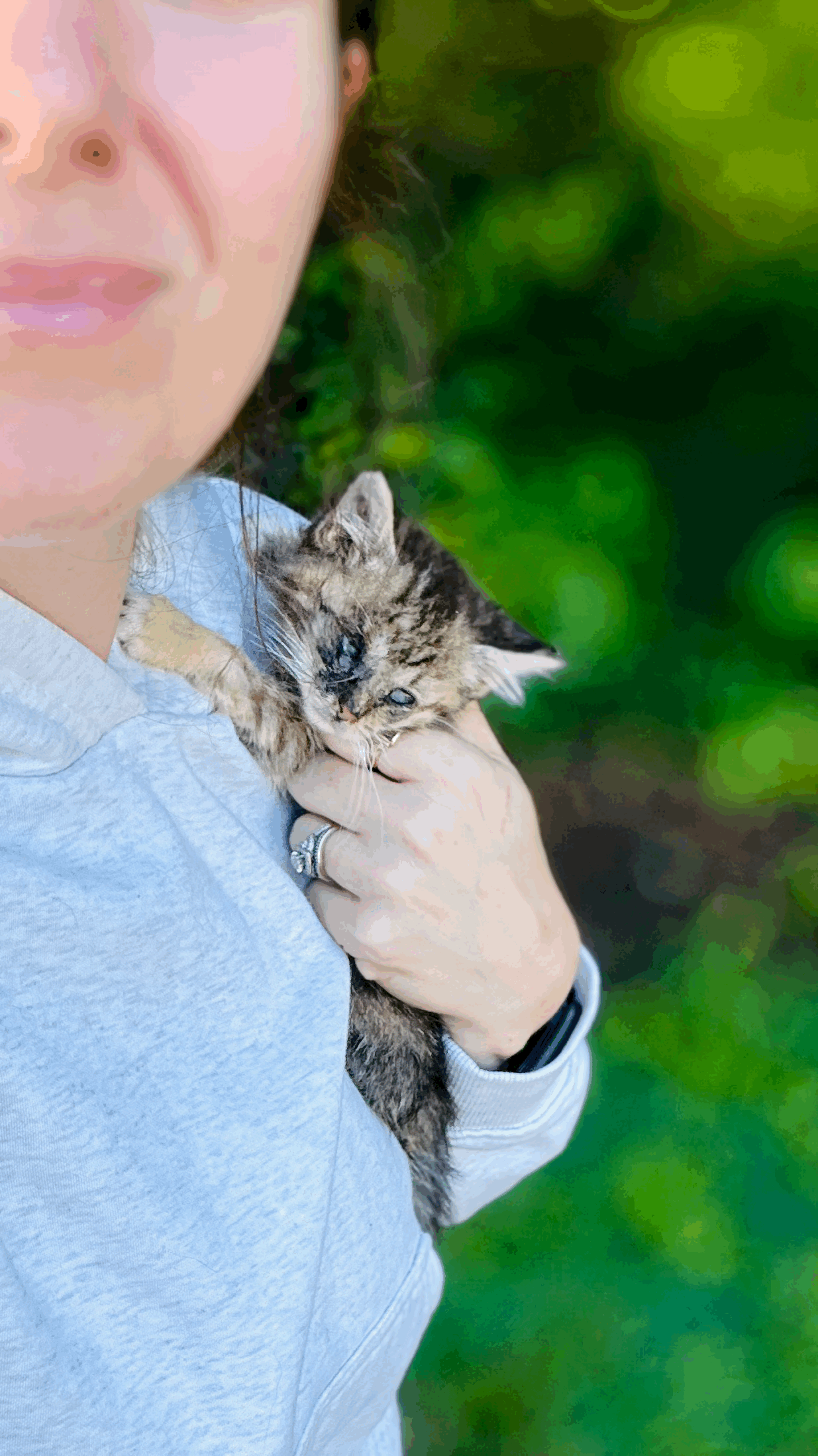 Wonder: The Kitten Who Could Barely See a Future