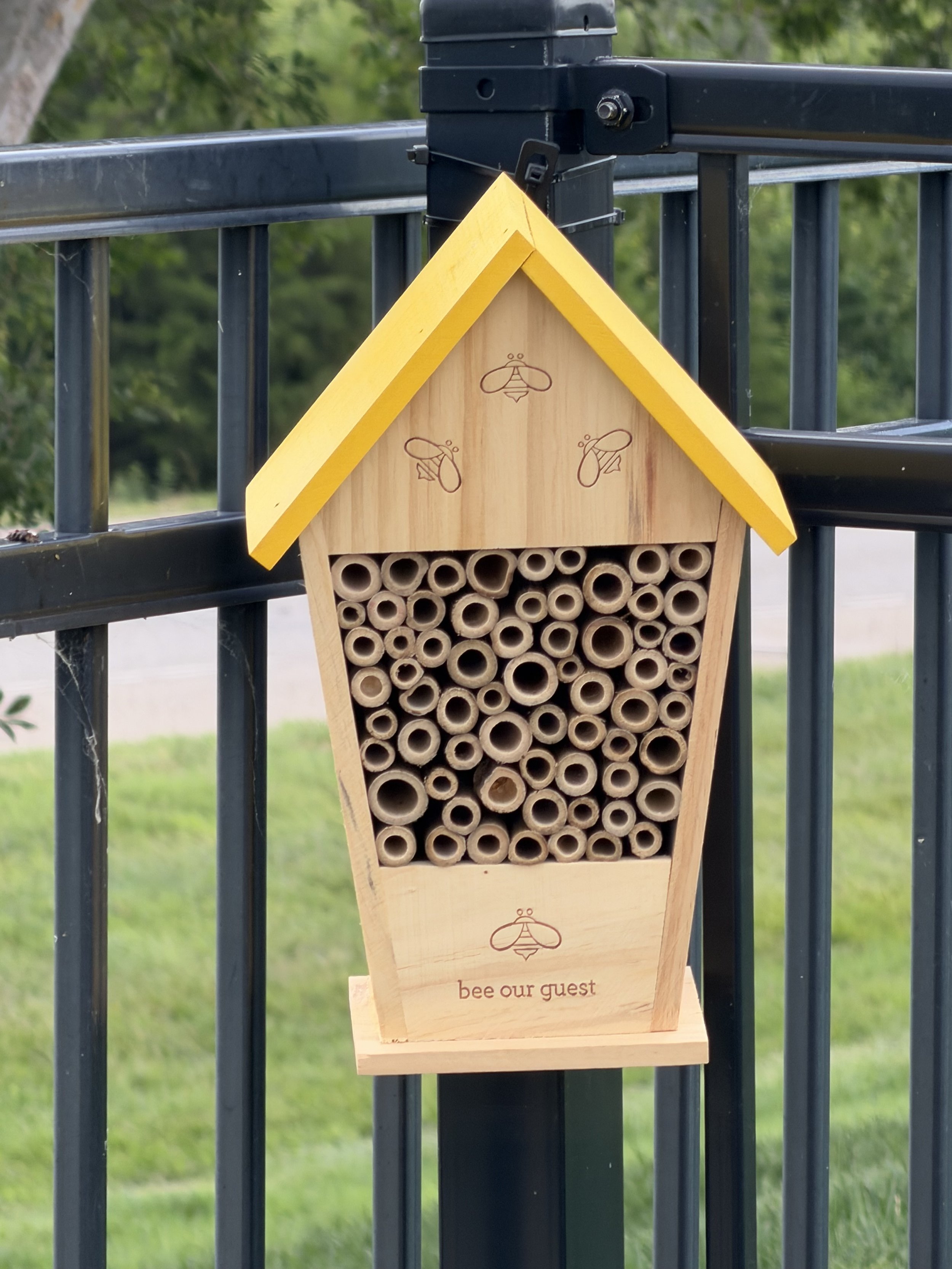 A wooden bee hotel mounted on a black metal gate, with a yellow trim and illustrations of bees and a honeycomb pattern. The words "bee our guest" are engraved near the bottom.