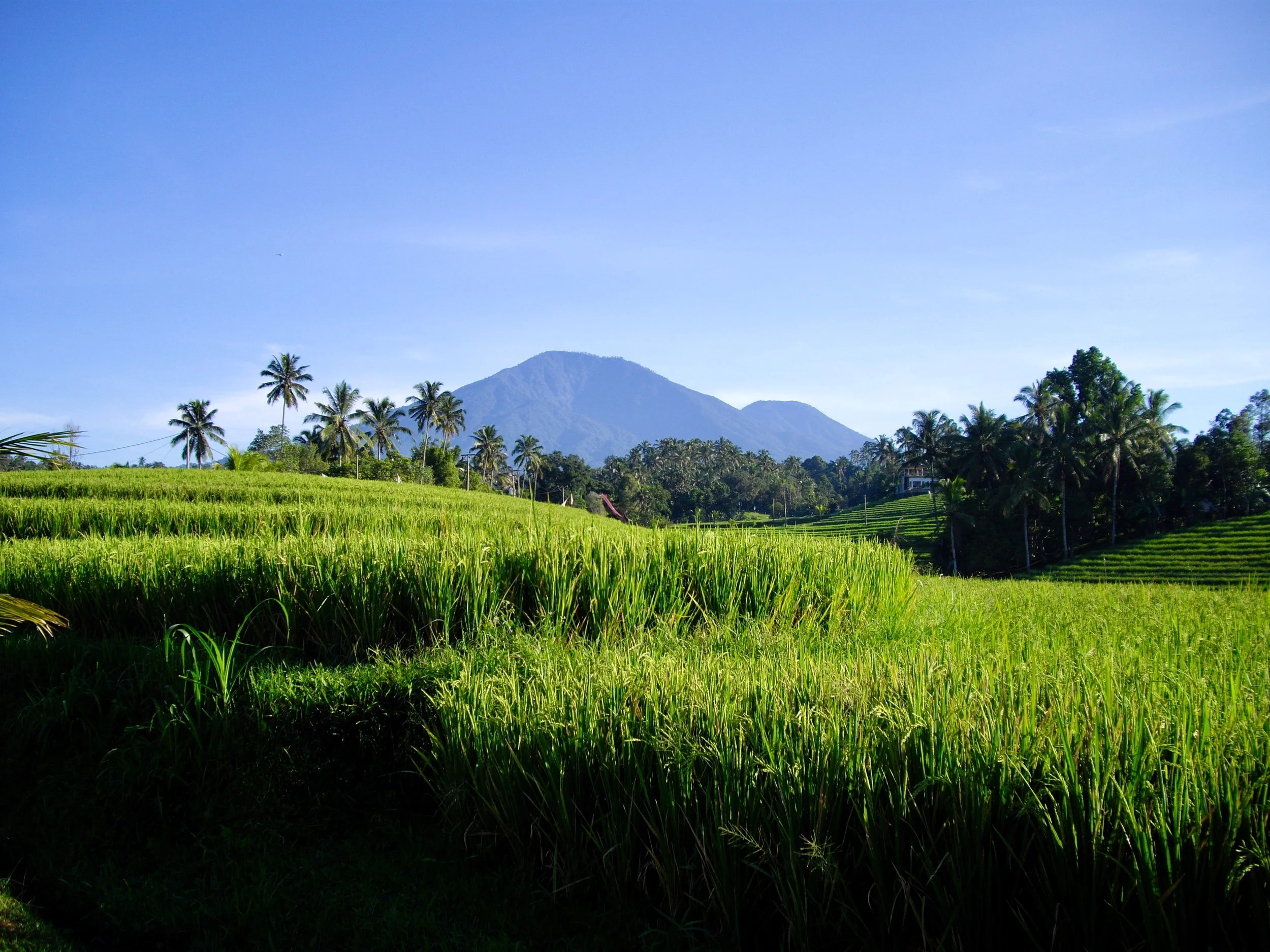 Indonesia