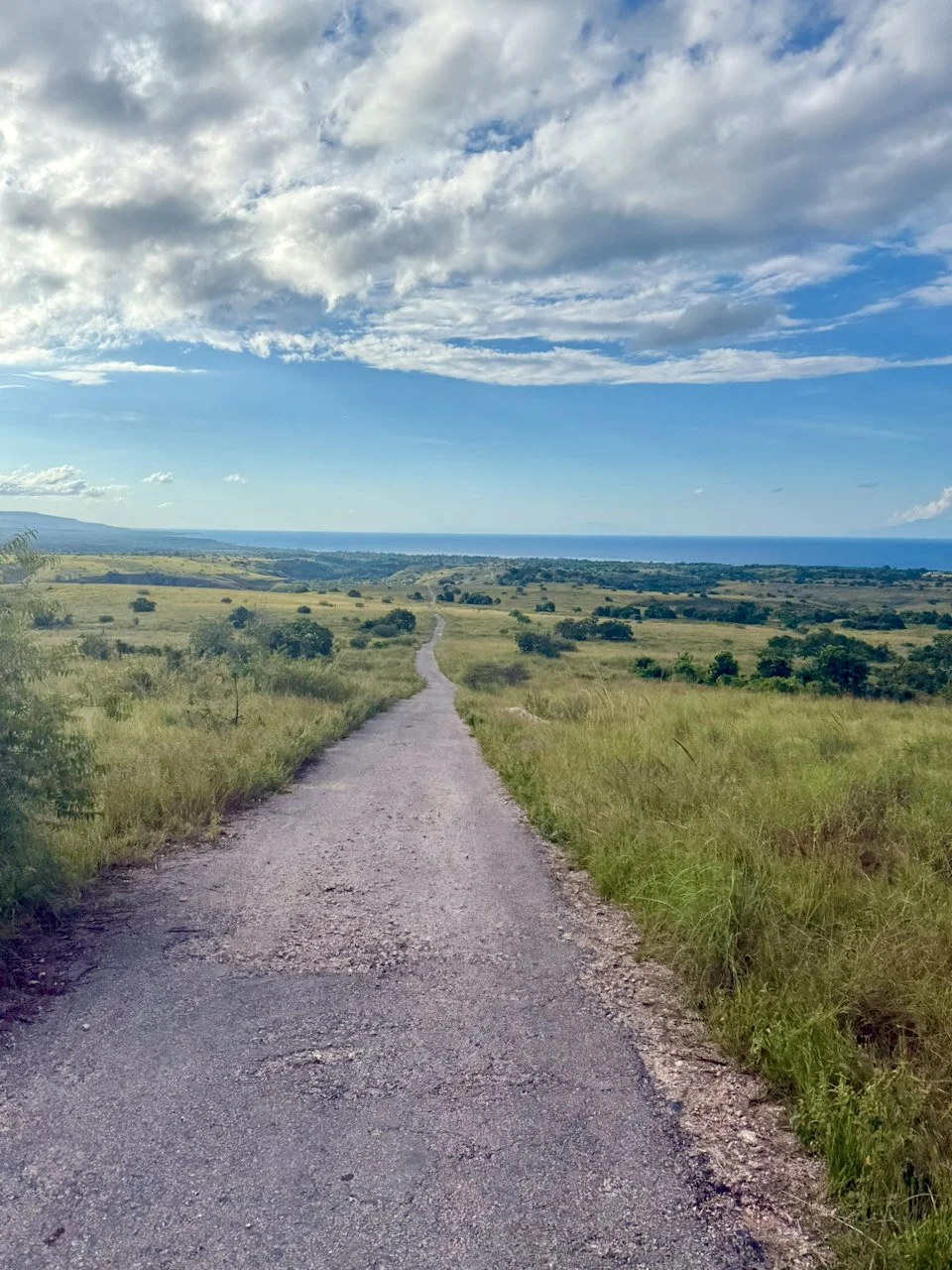 A dirt road stretching into the distance through grassy fields with a view of the ocean and sky overhead.