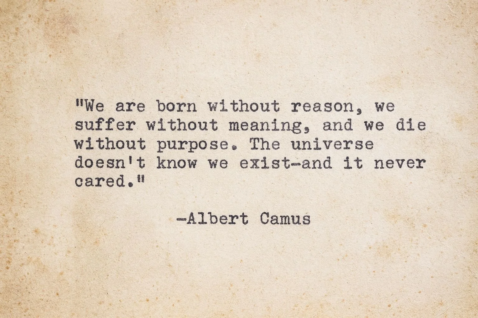 how to navigate a universe without purpose
