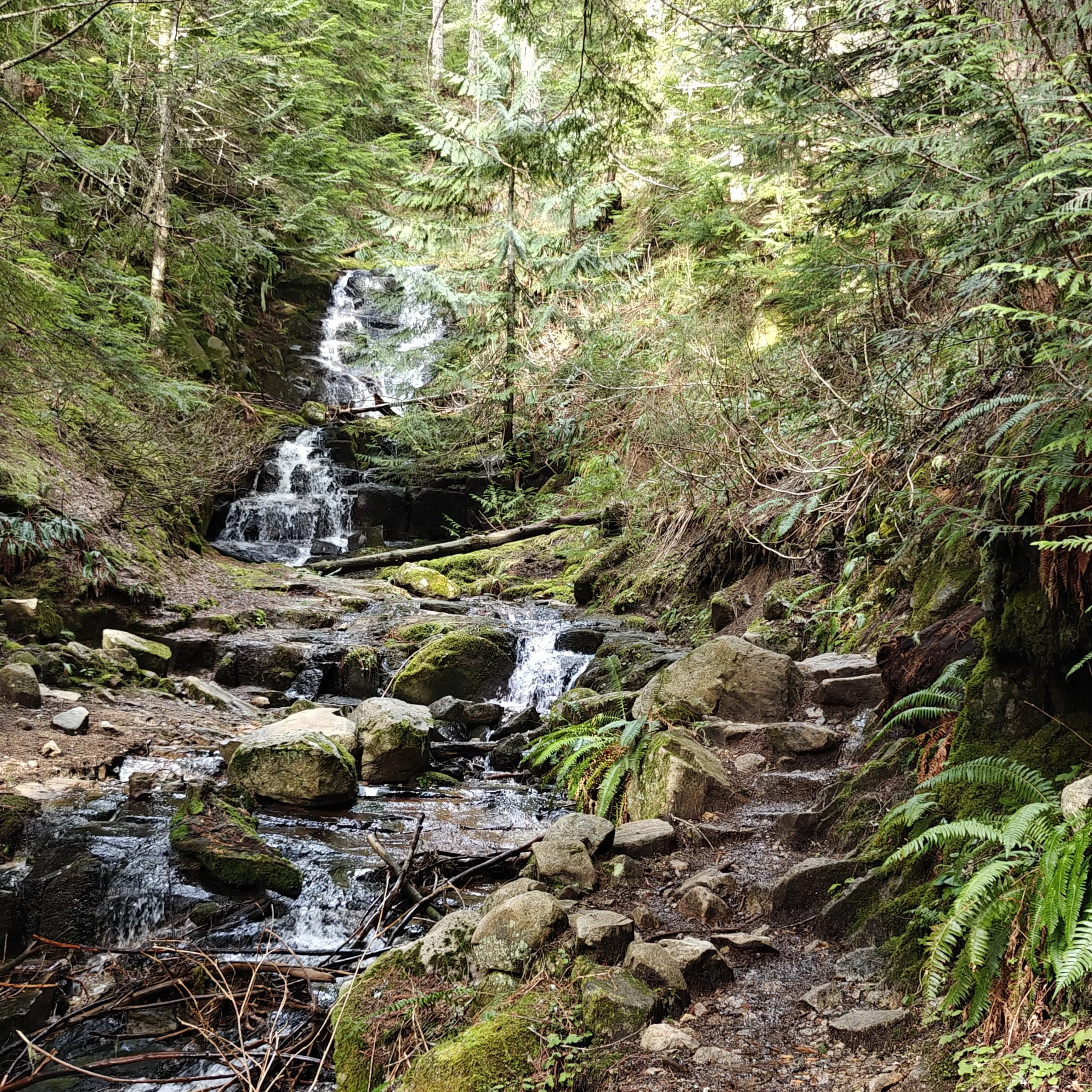 IMG20260204111018.jpg