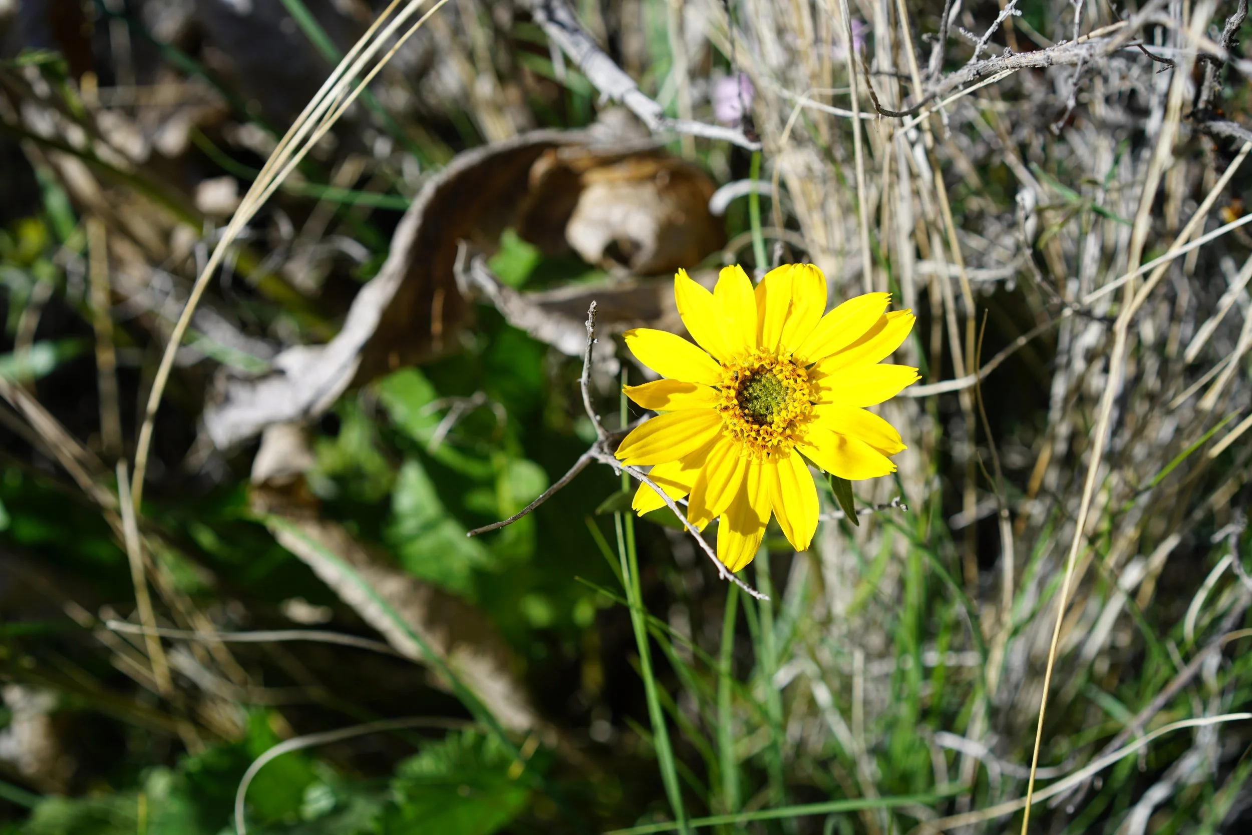 260408_7.JPG