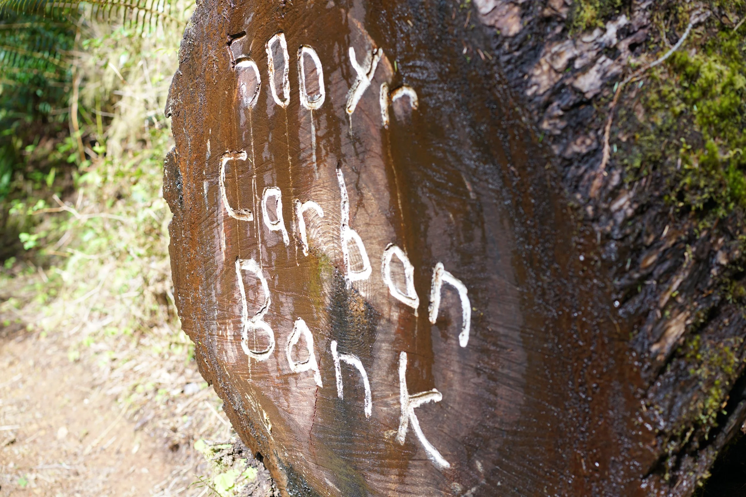 260318_14.JPG