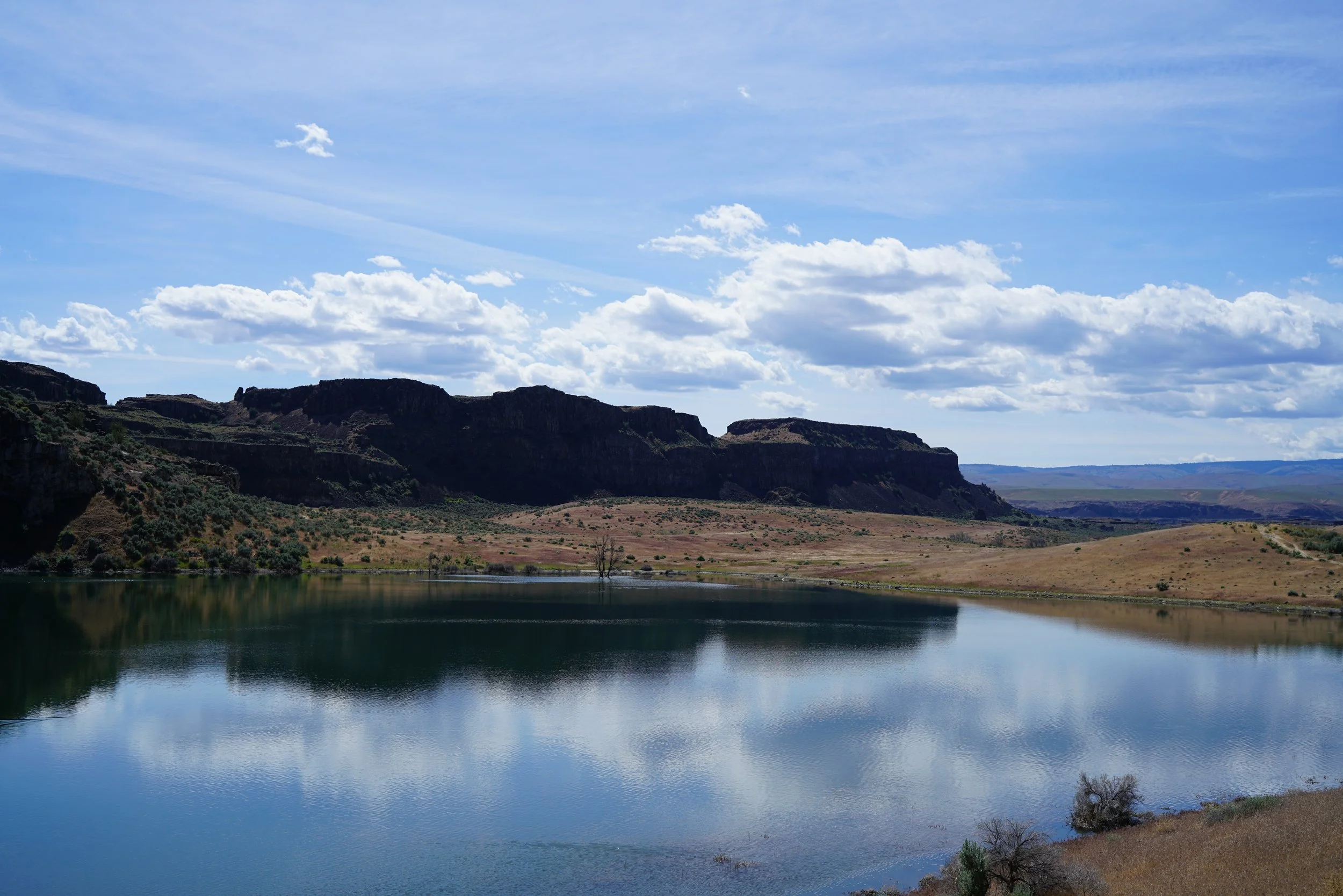 260521_9.JPG