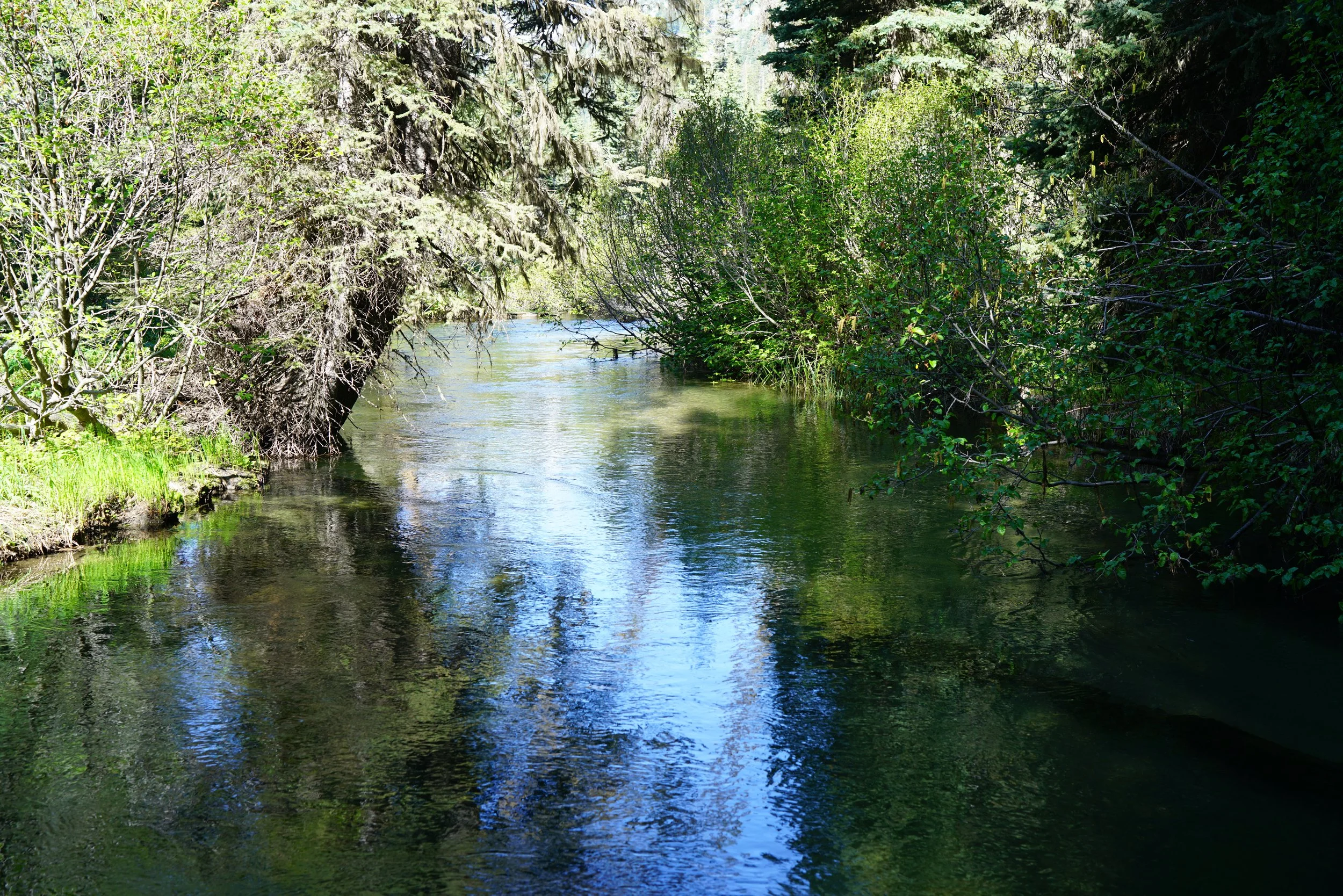 260528_8.JPG