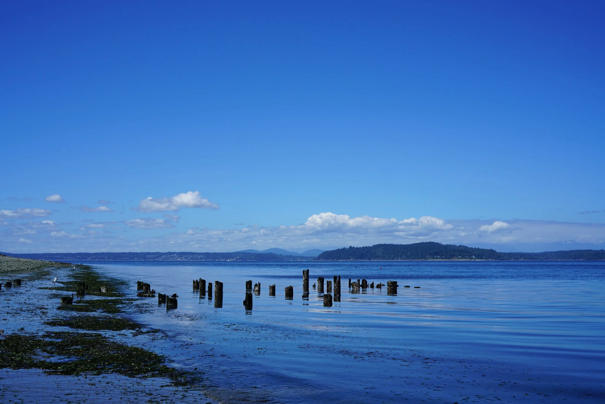 260617_2.JPG