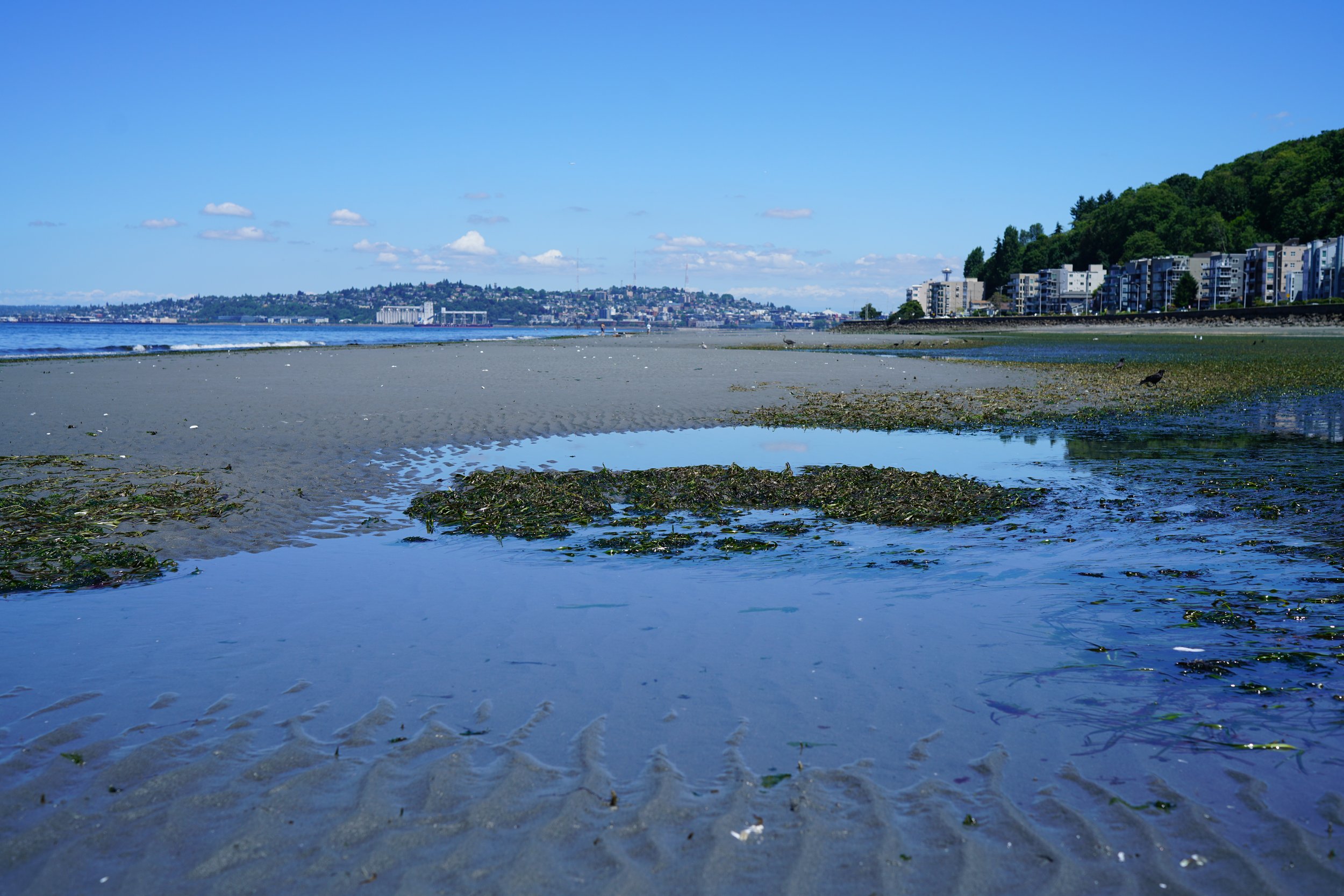 260617_15.JPG