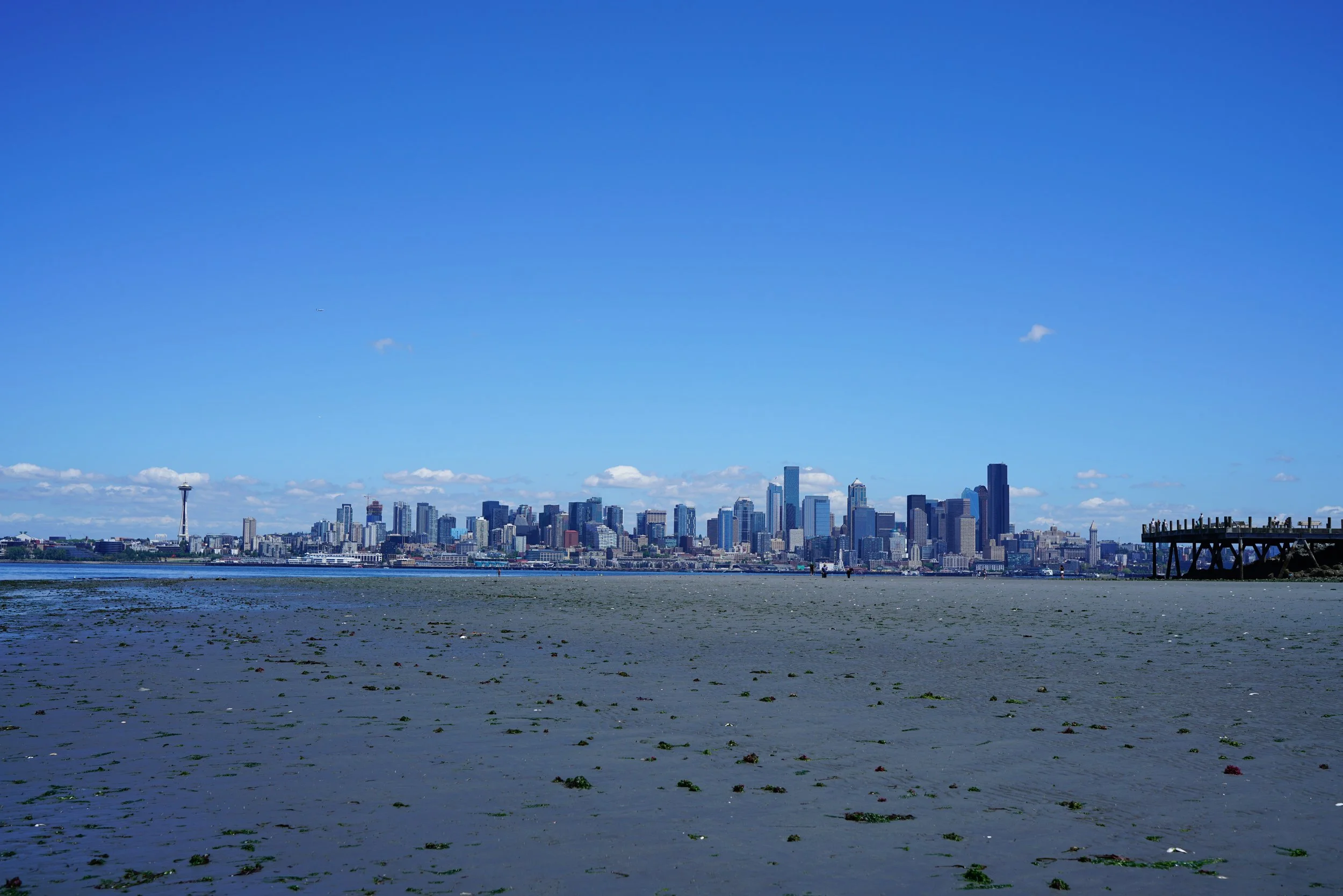 Alki Beach Low Tide