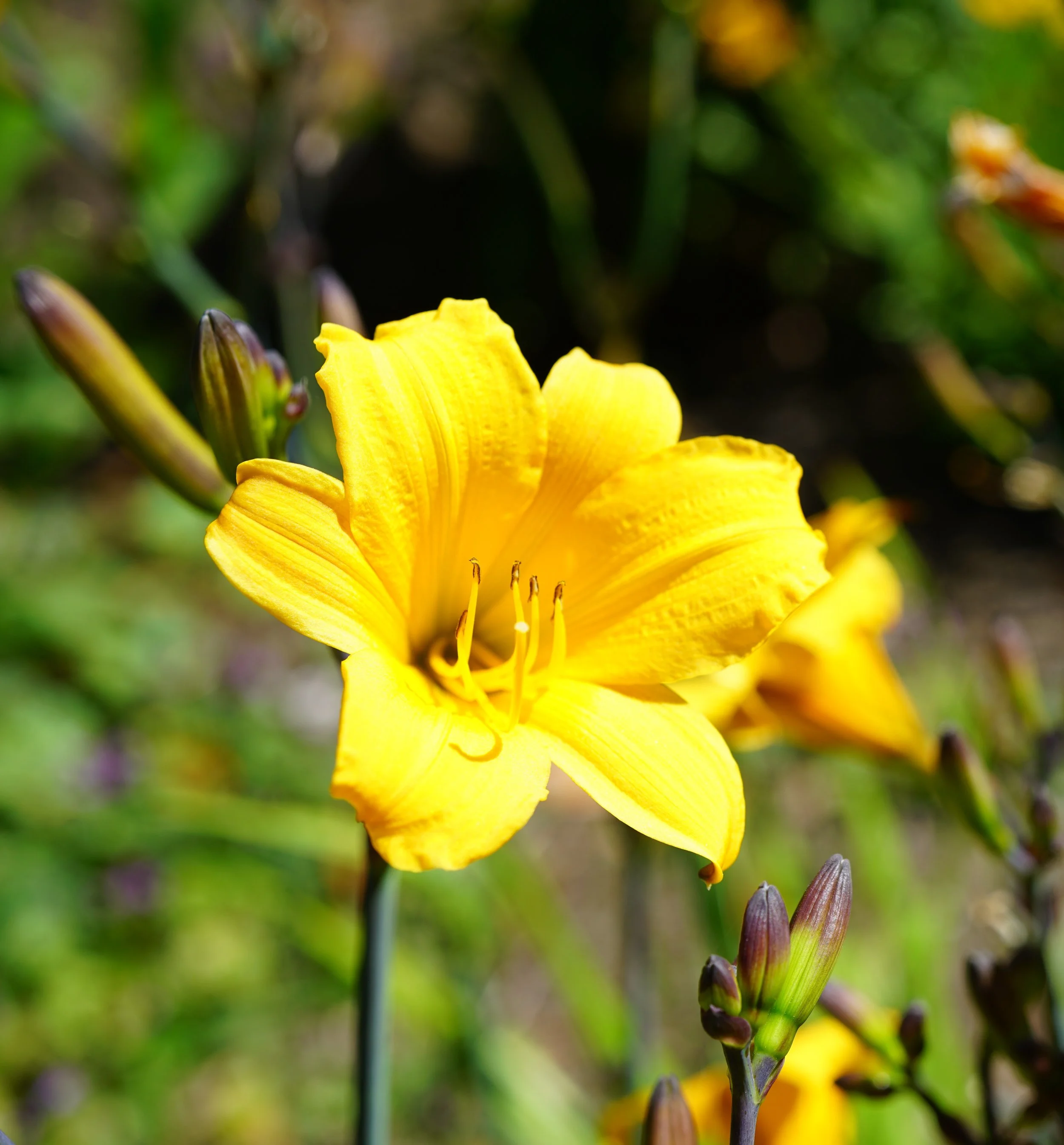 260625_8_crop.jpg