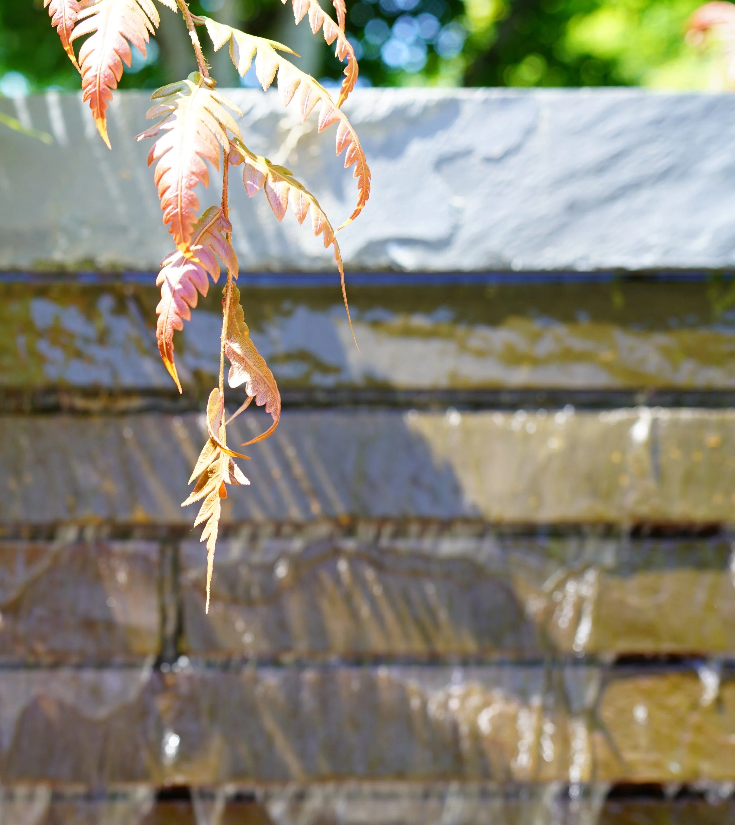 260625_16_crop.jpg