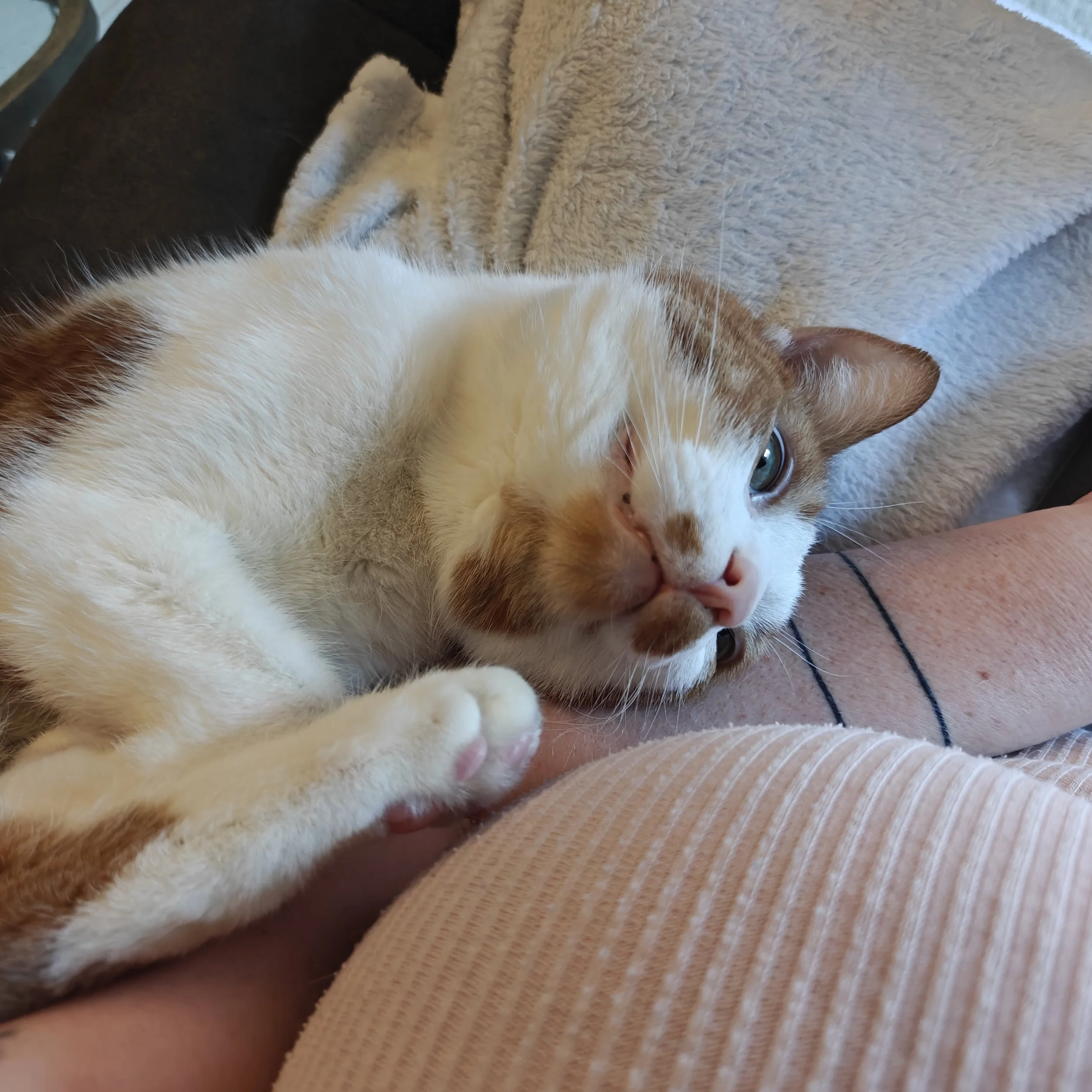 It is okay to rest