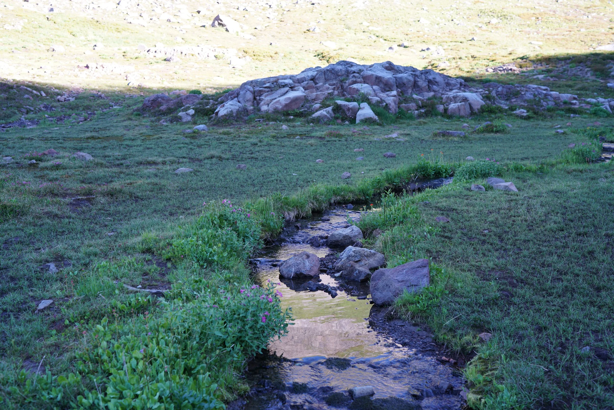 200726_11.JPG