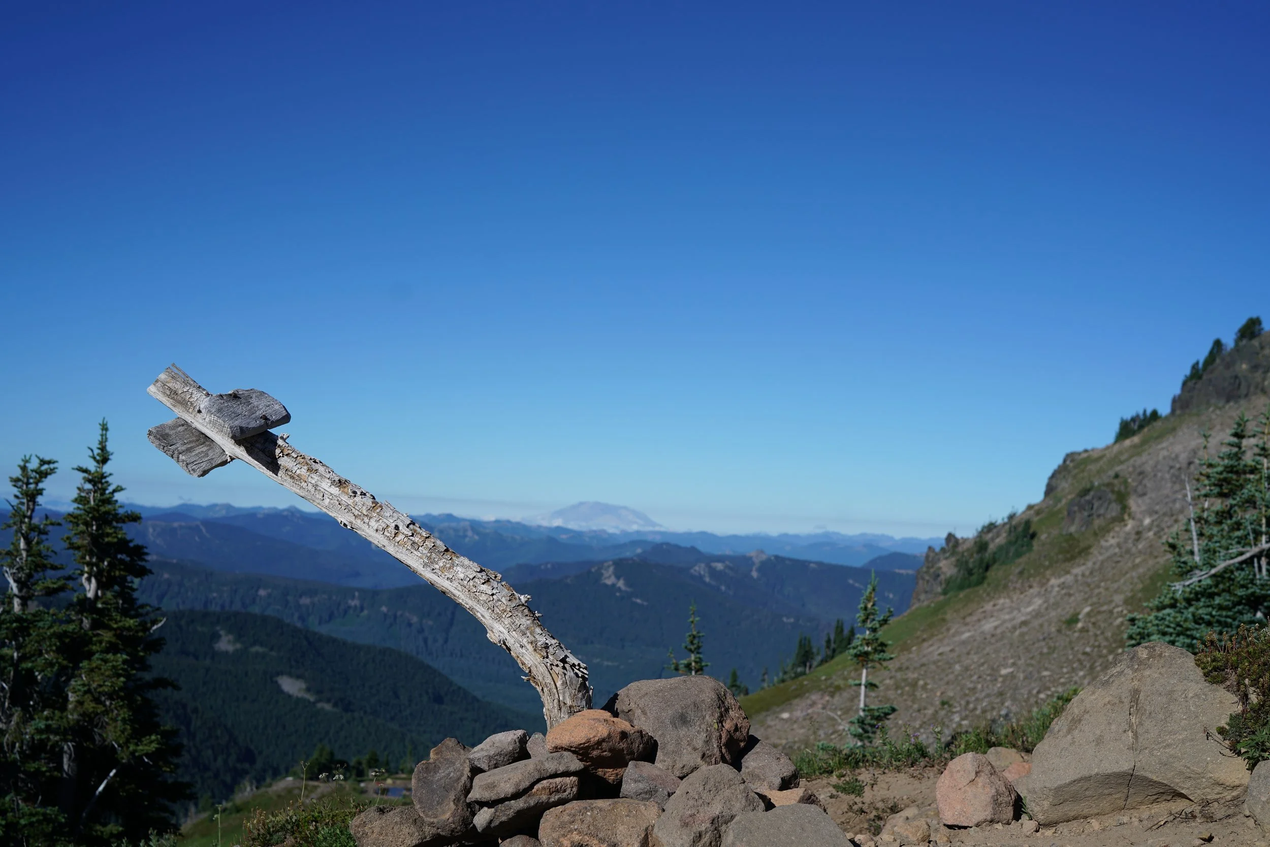 200726_S2.JPG