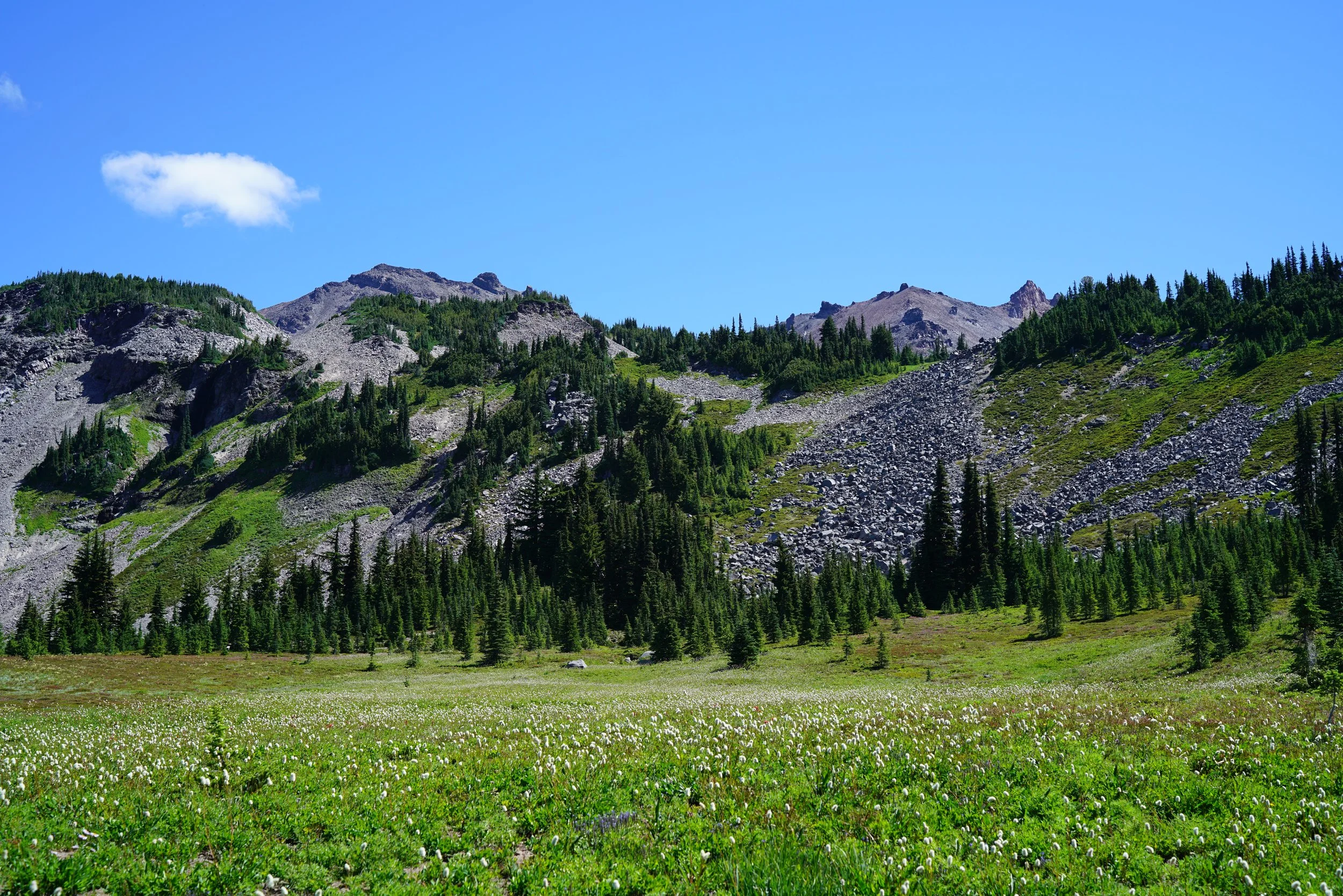 200726_31.JPG