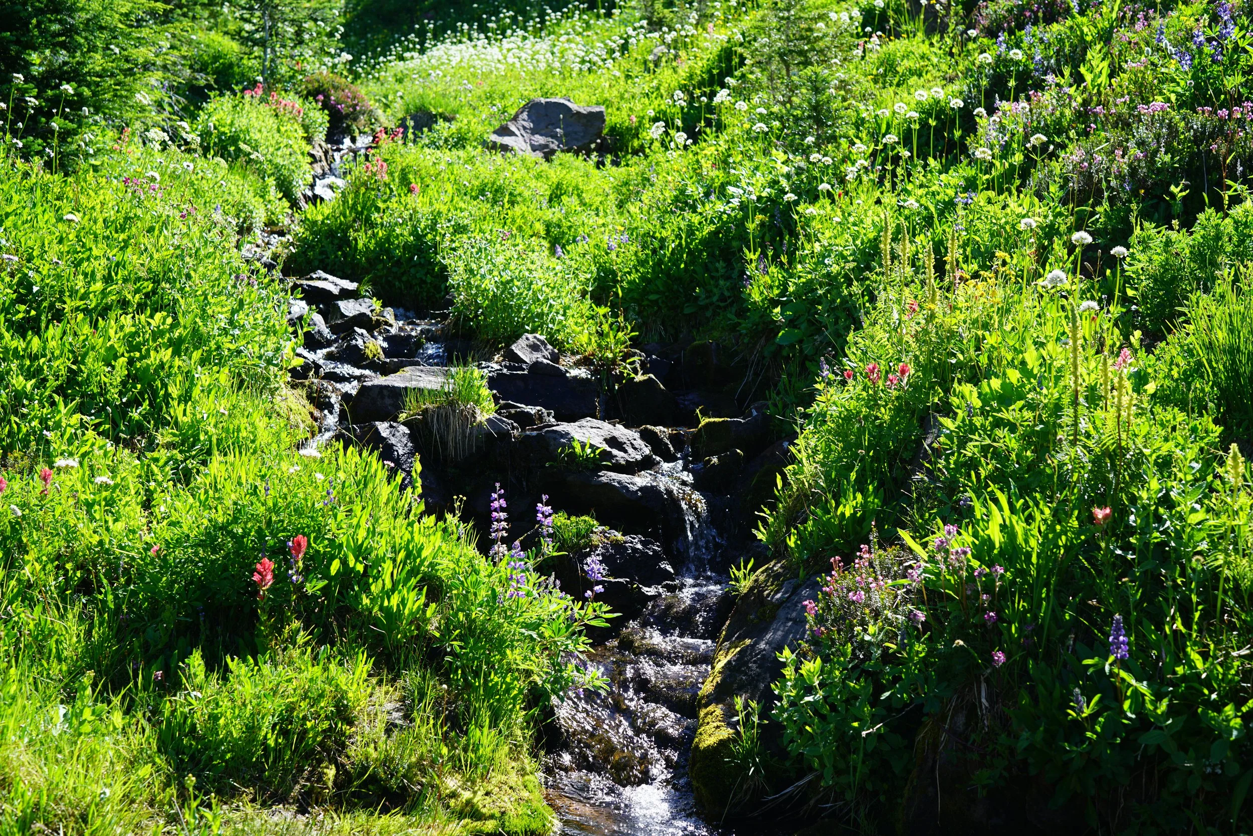200726_22.JPG
